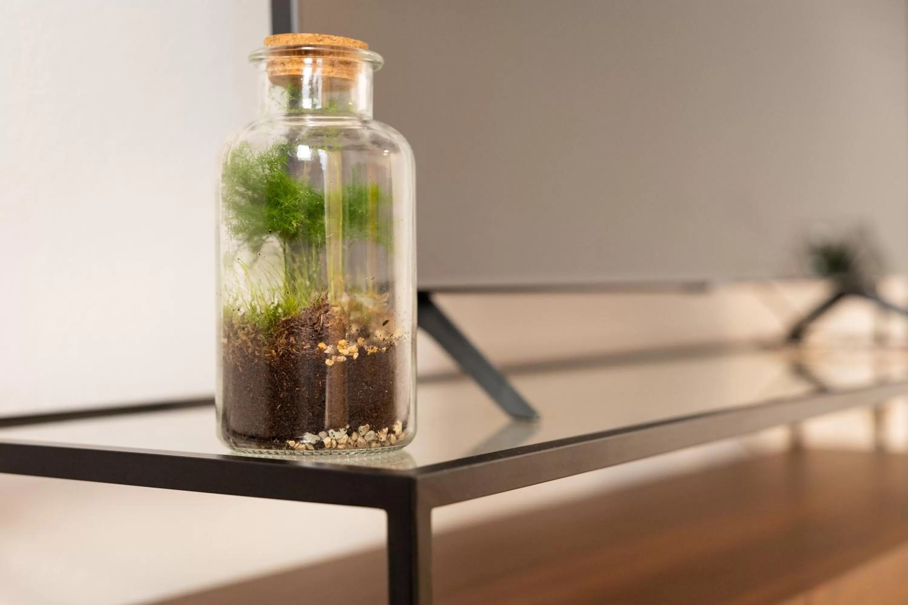 Decorative detail in Apartments an der Oper - Innenstadt - Zentral - Küche - Wifi - Powered by Ko-Living