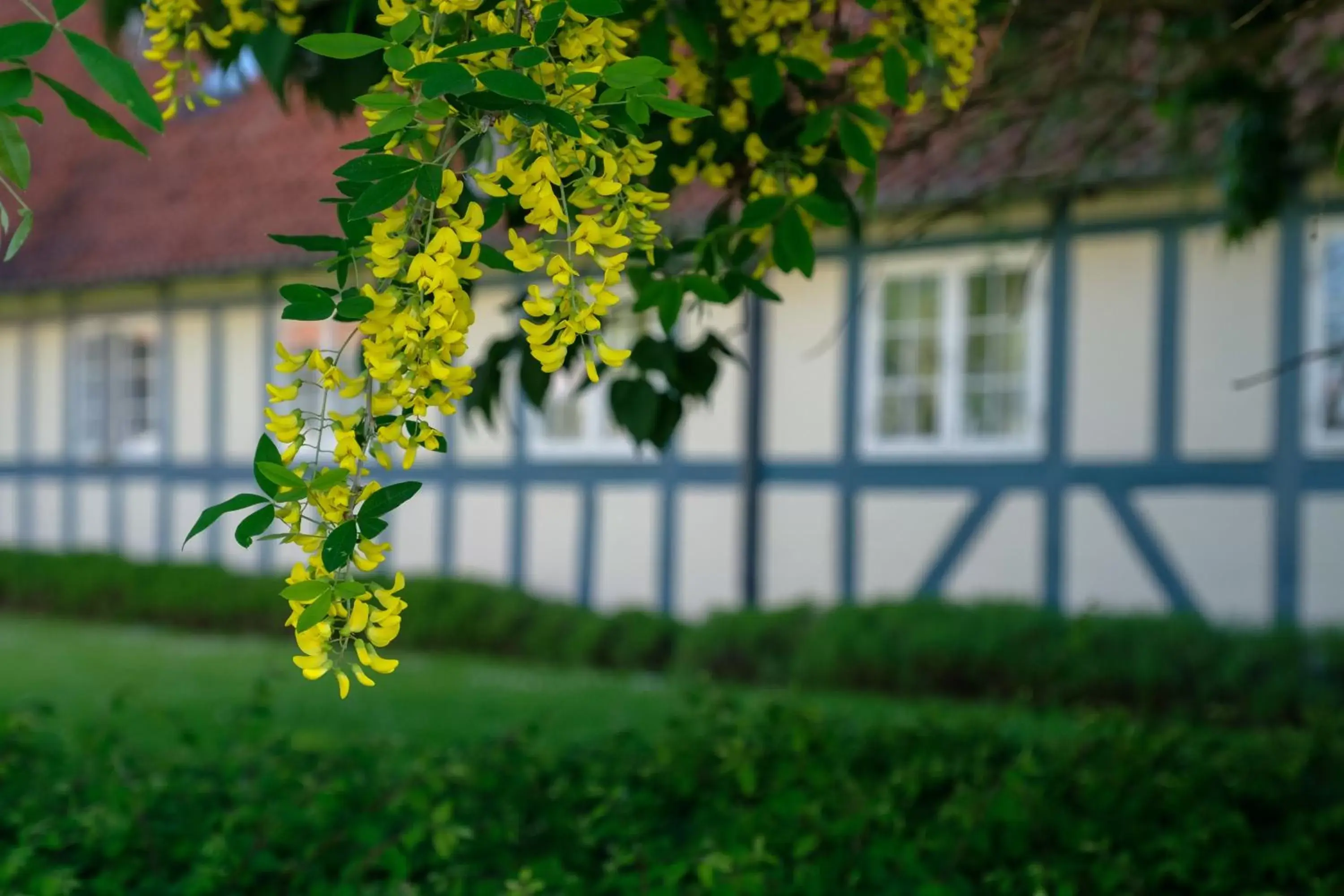 Property Building in Hotel Knudsens Gaard