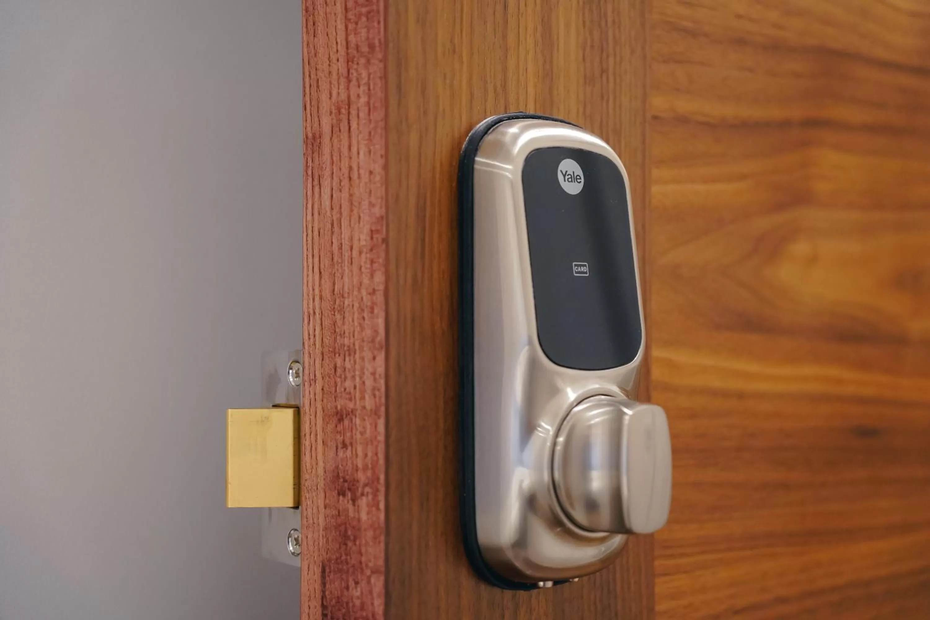 The Avonmore Olympia