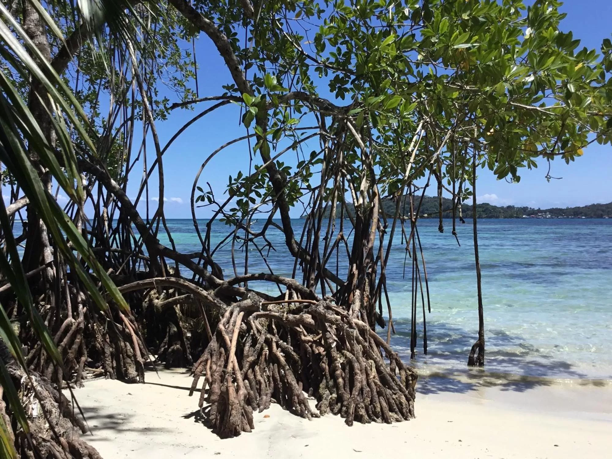 Natural landscape in RIVA B&B