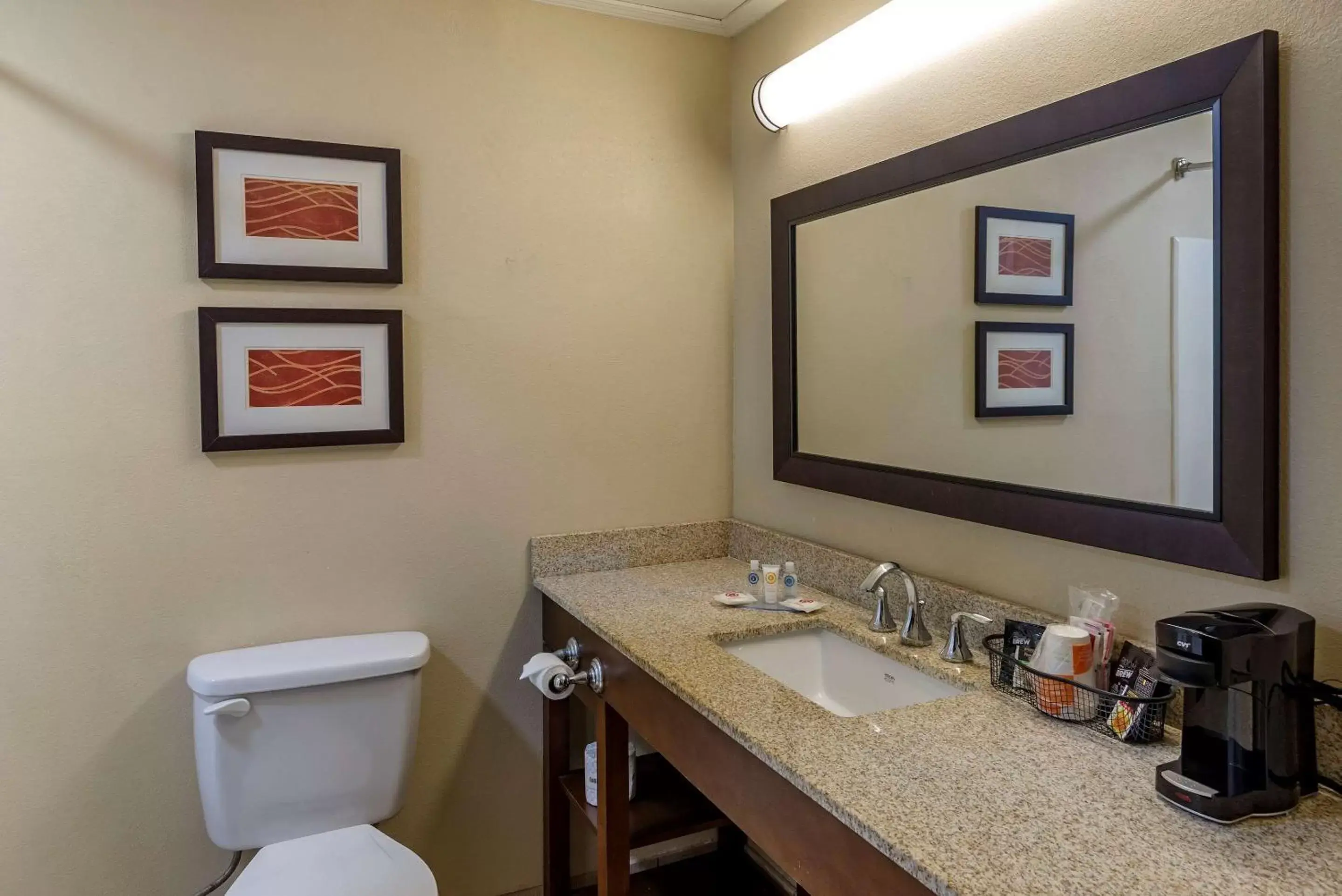 Bathroom in Comfort Inn Opelika - Auburn