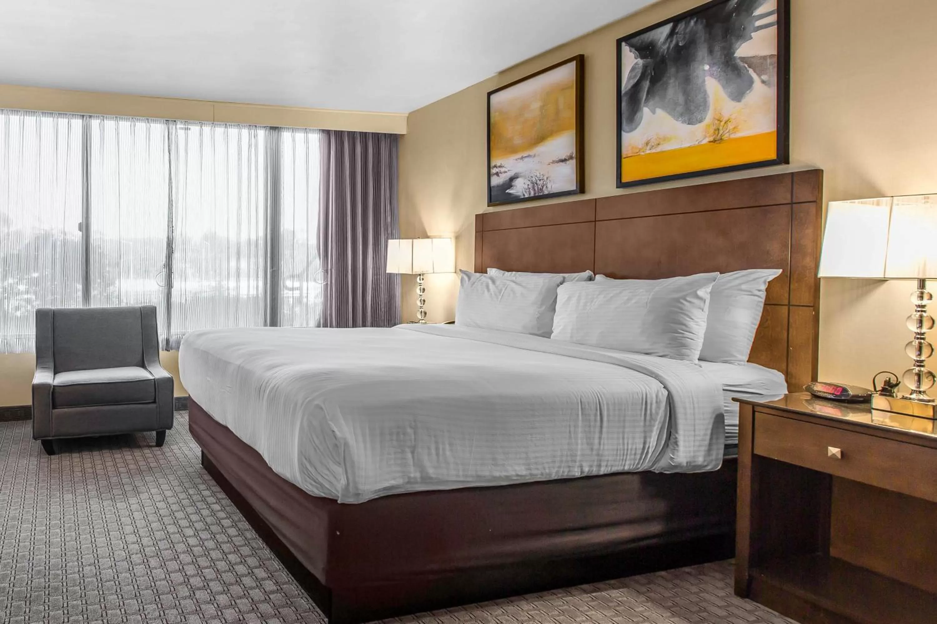 Standard King Room with Tub - Mobility and Hearing Access in The Hills Hotel, an IHG Hotel