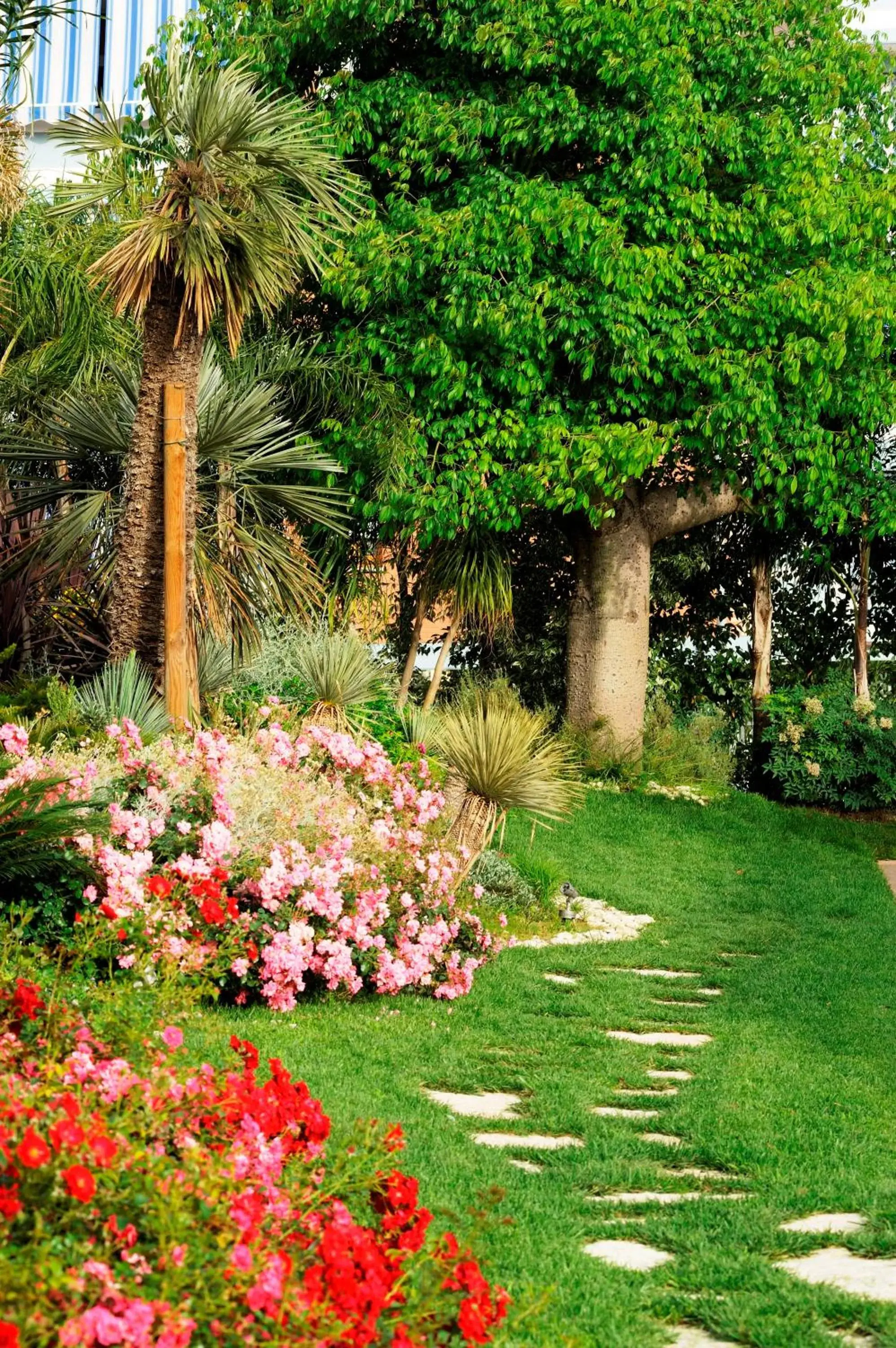 Garden in Hotel Ares