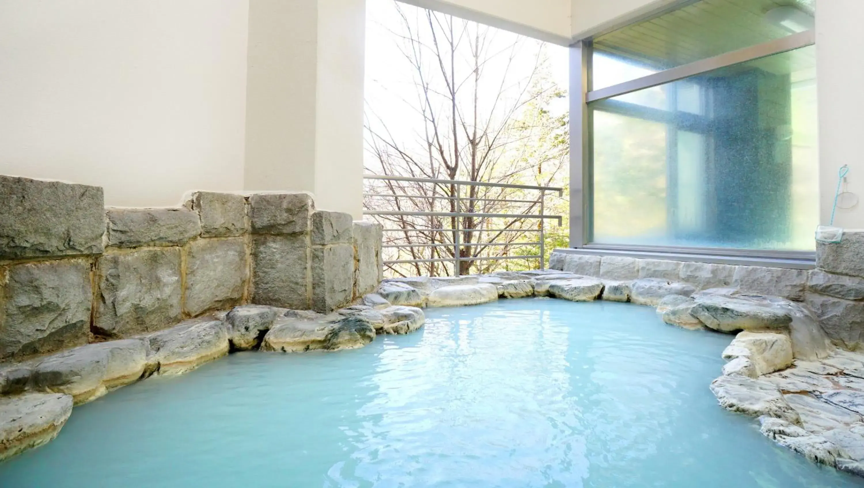 Hot Spring Bath, Swimming Pool in Hotel Laforet Nasu