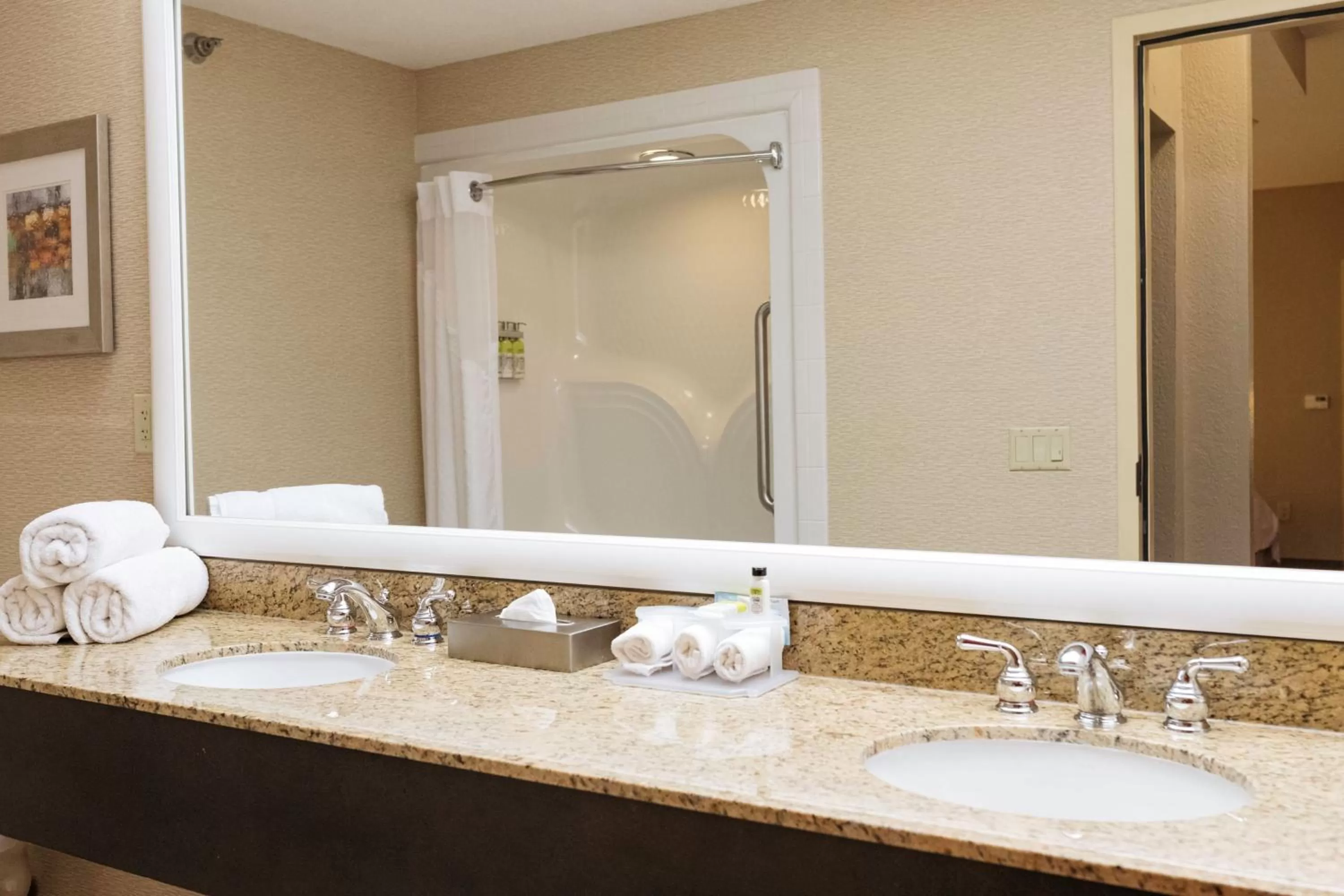 Bathroom in Holiday Inn Express & Suites - Olathe North by IHG