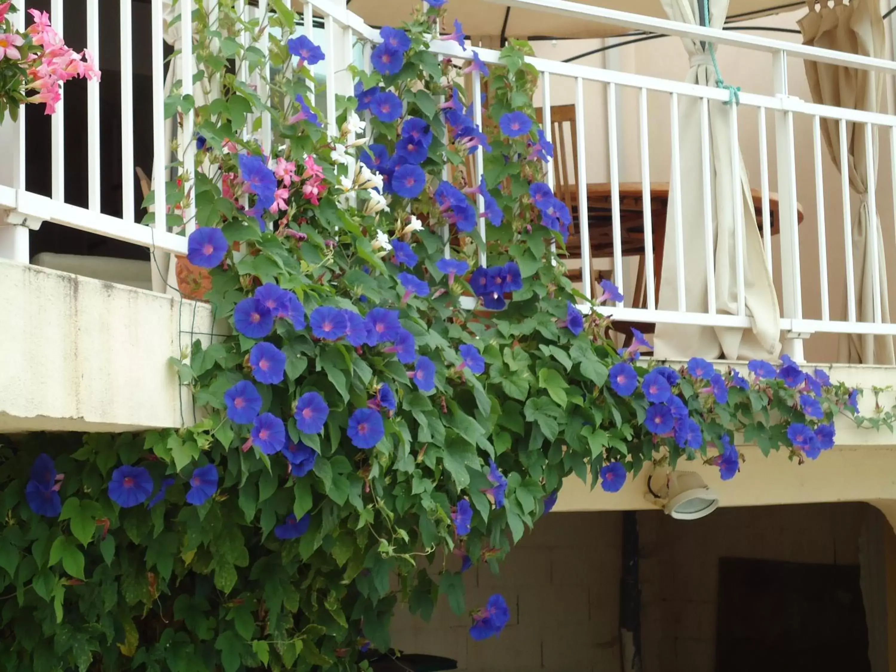 Balcony/Terrace in chambres d'hôtes du capimont