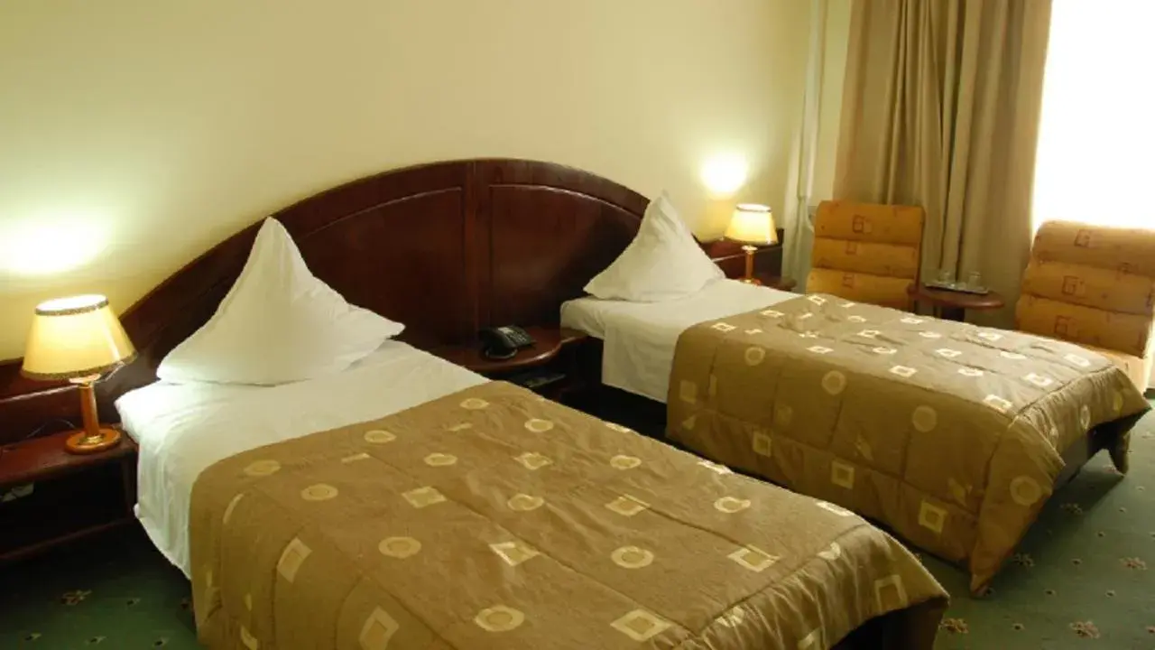 Bed in Hotel Delta 3