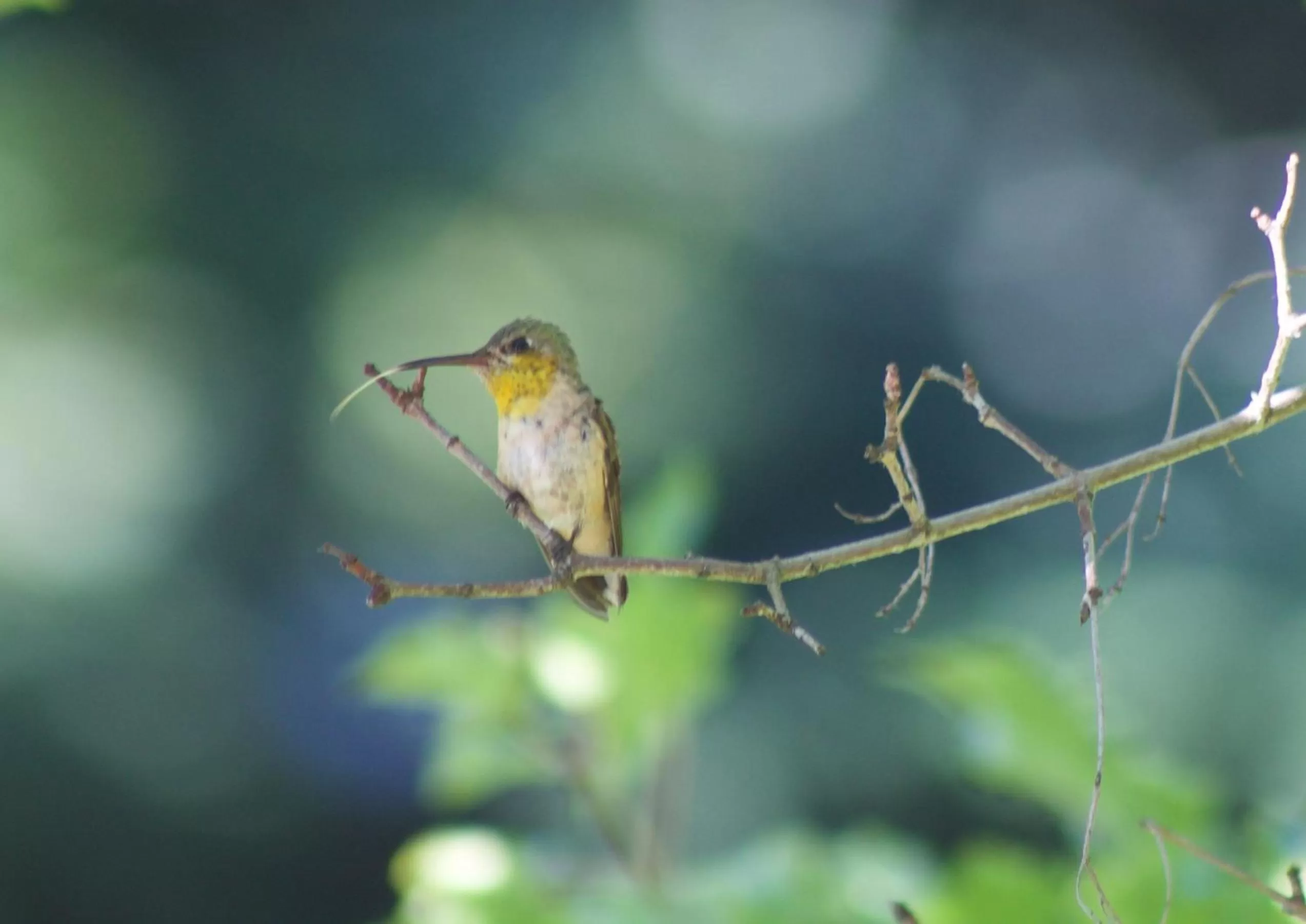 Other in Windborne Bed & Breakfast