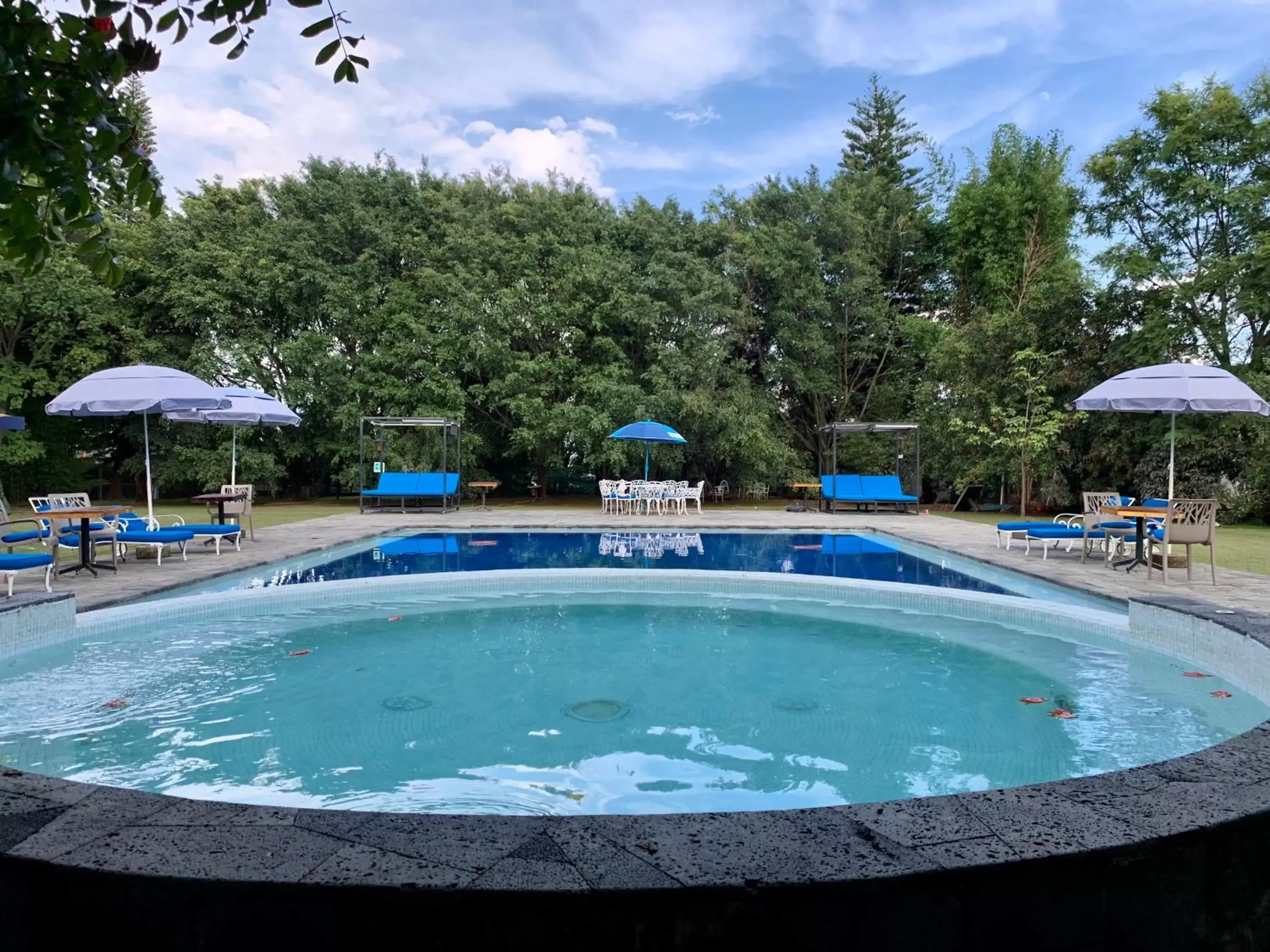 Pool view, Swimming Pool in Los Cruxes