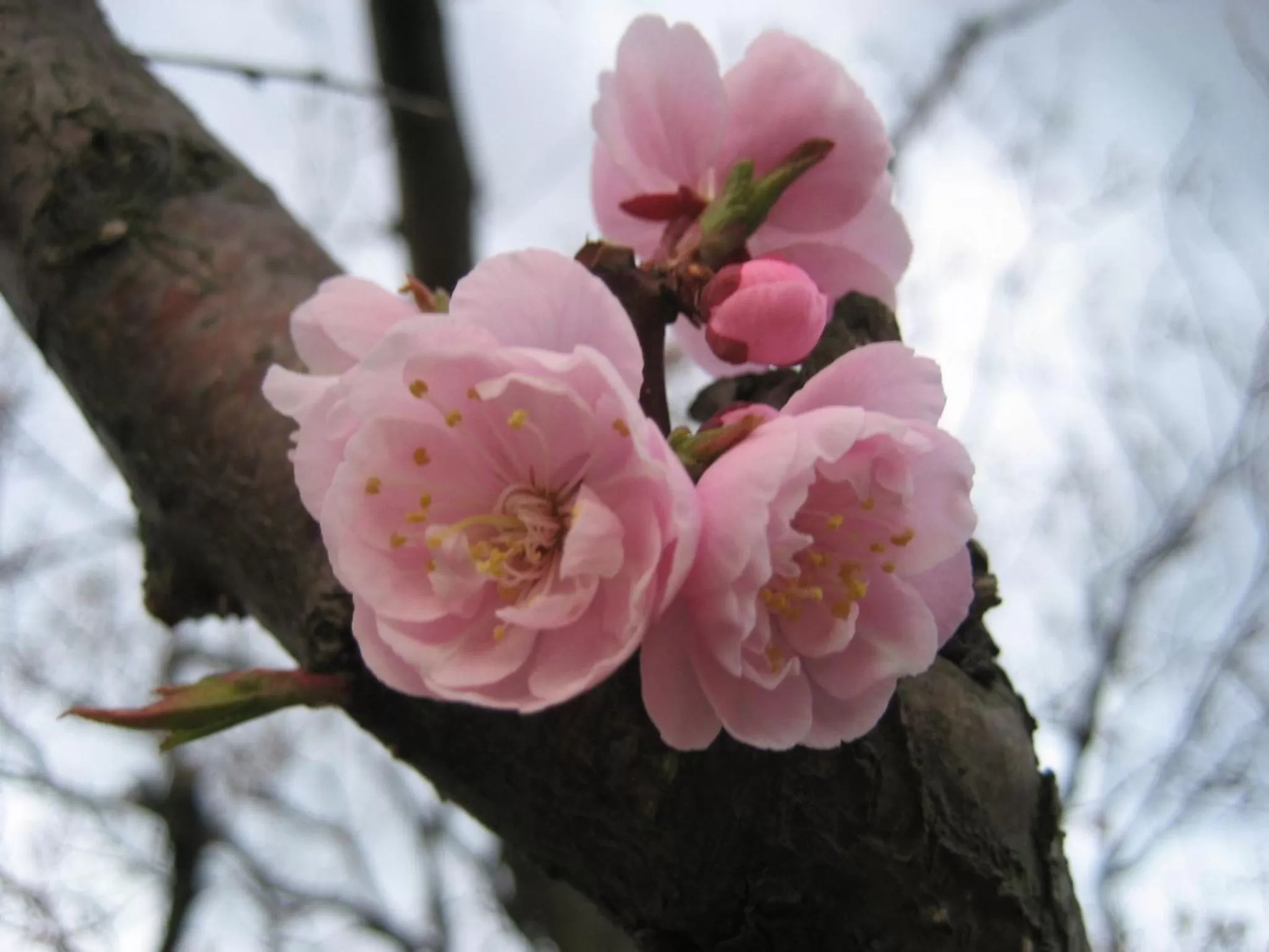 Nearby landmark in APA Hotel & Resort Sapporo