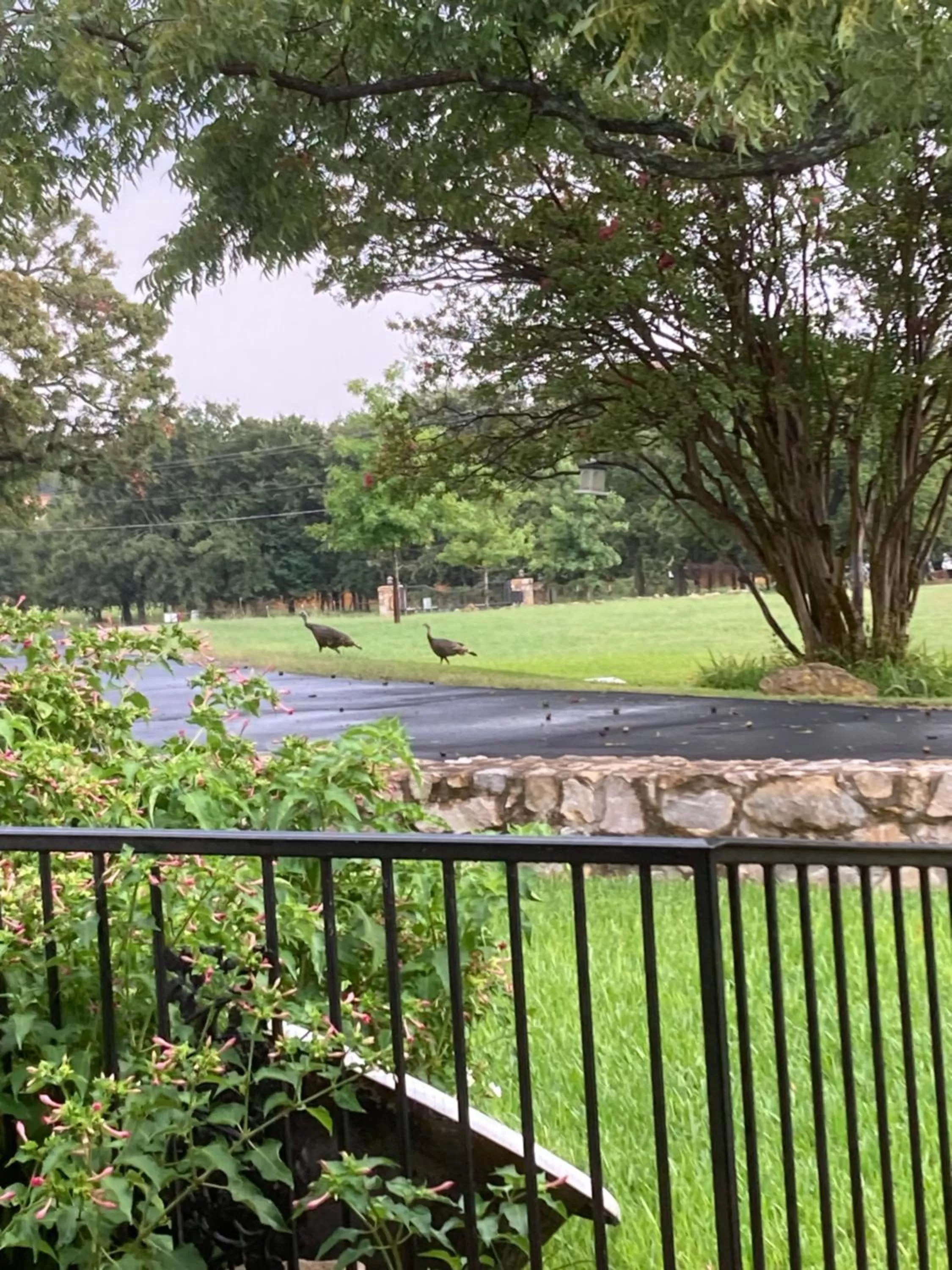 Natural landscape in The Old Liberty Schoolhouse