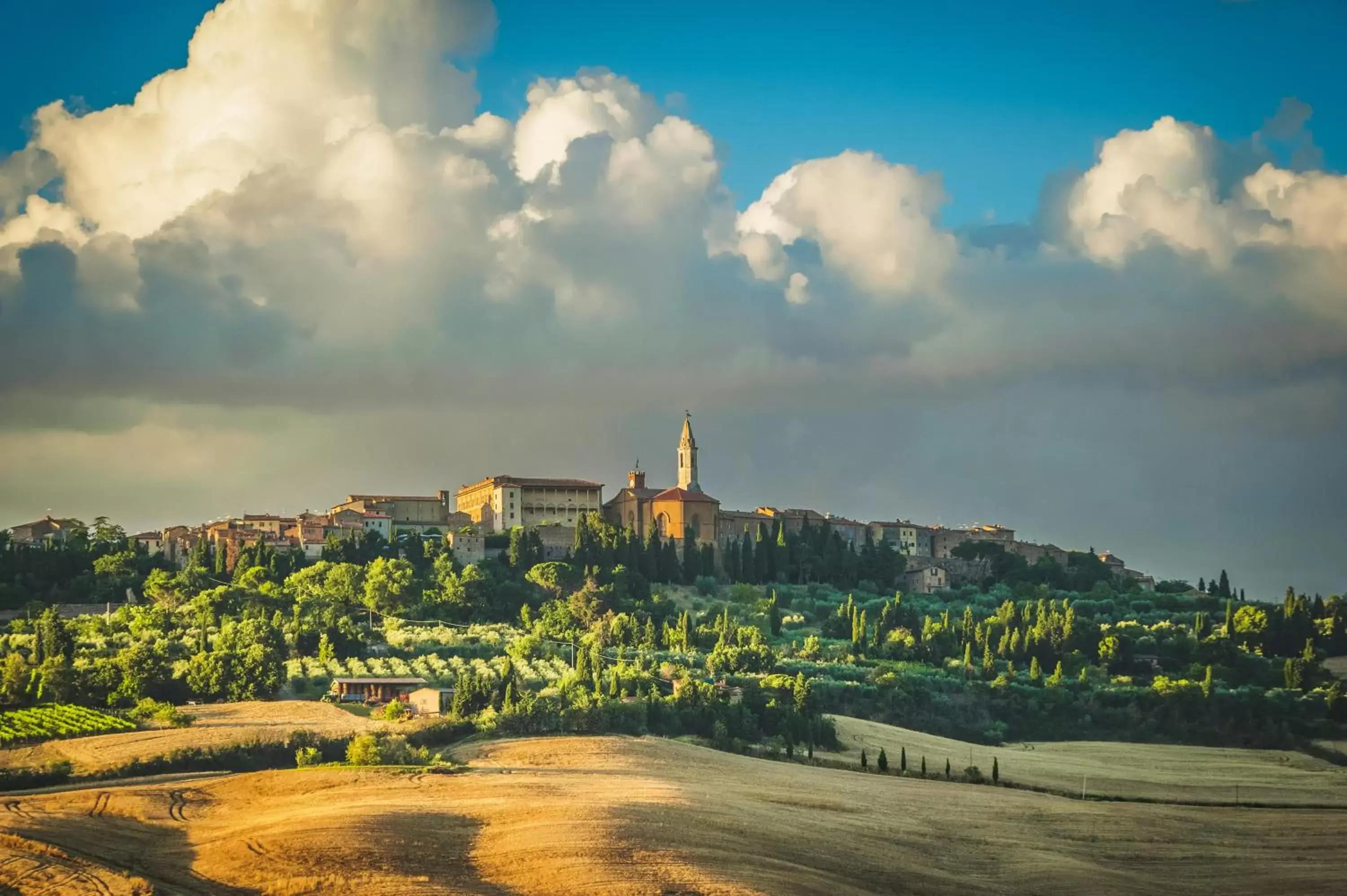 Natural landscape in Hotel San Gregorio