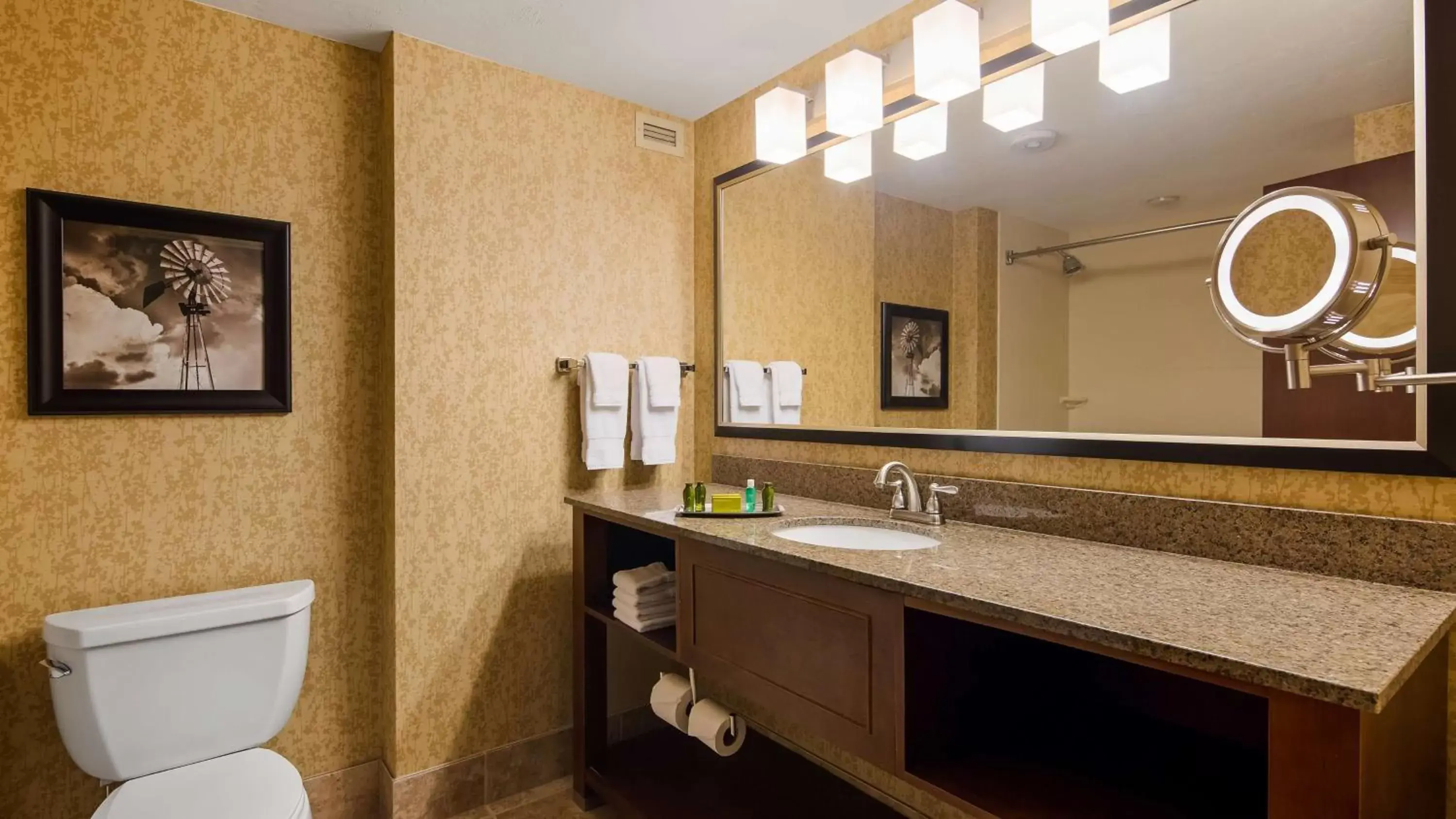 Bathroom in Best Western Premier Waterfront Hotel & Convention Center