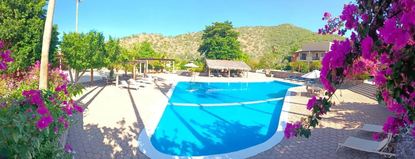 Pool View in Tripui Hotel