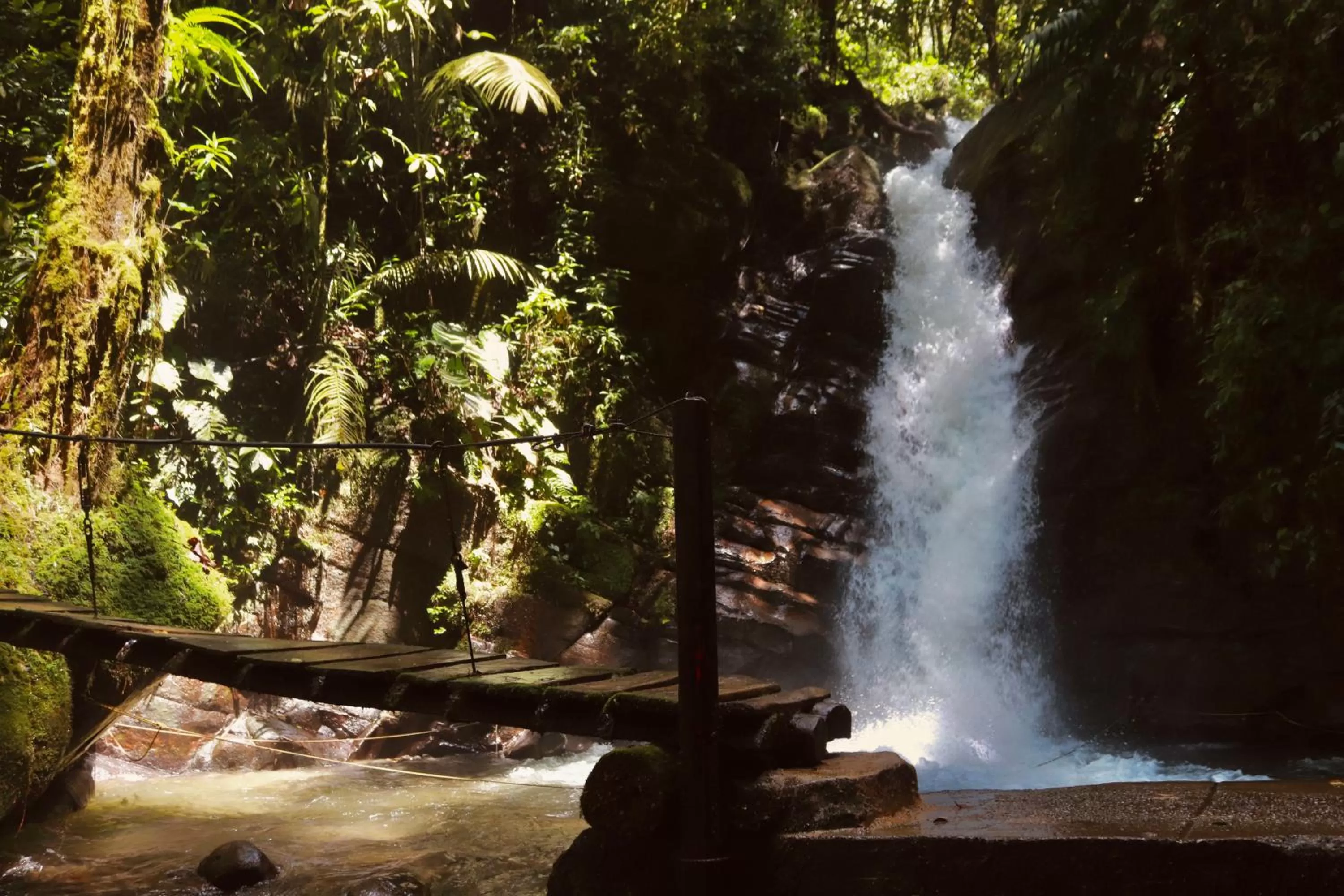 Natural landscape in La Cabaña Ecohotel - Valle del Cocora