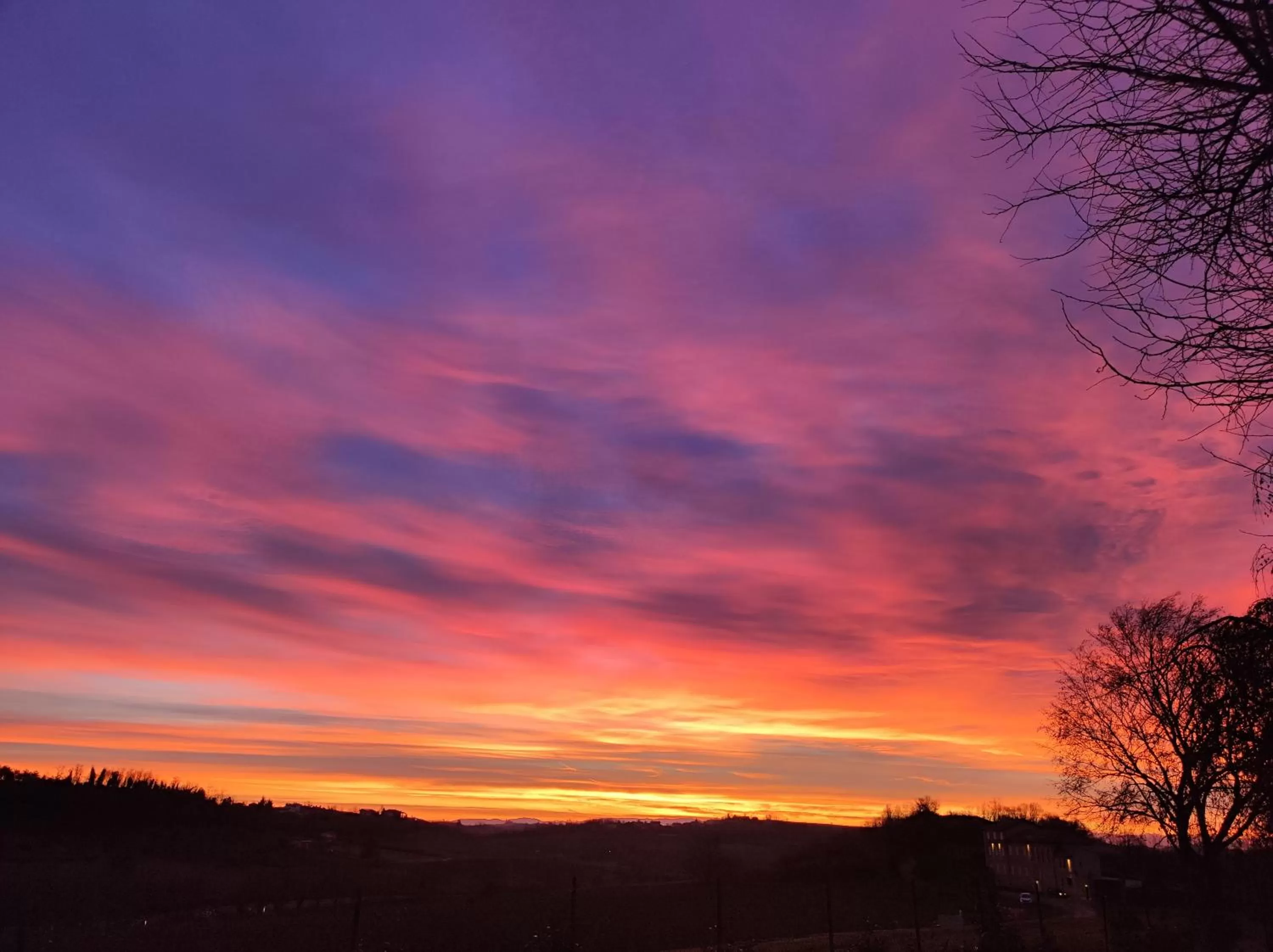 Garden view in Villa Pieve