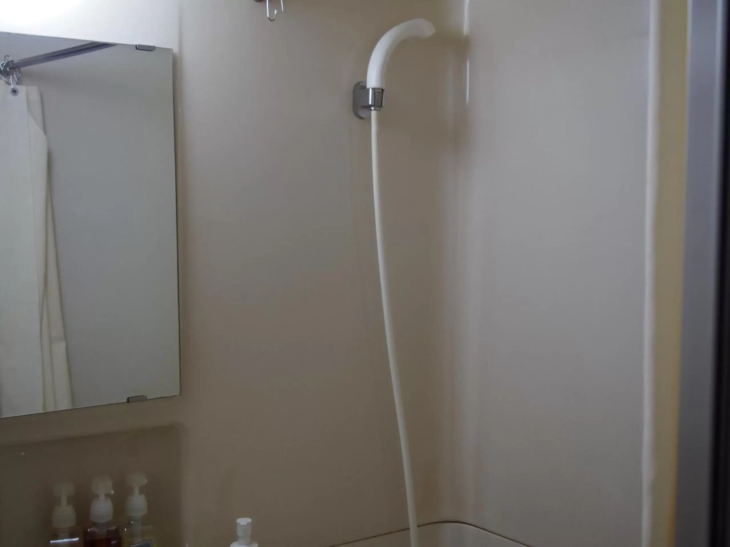 Photo of the whole room, Bathroom in Hotel Sunroute Fukushima