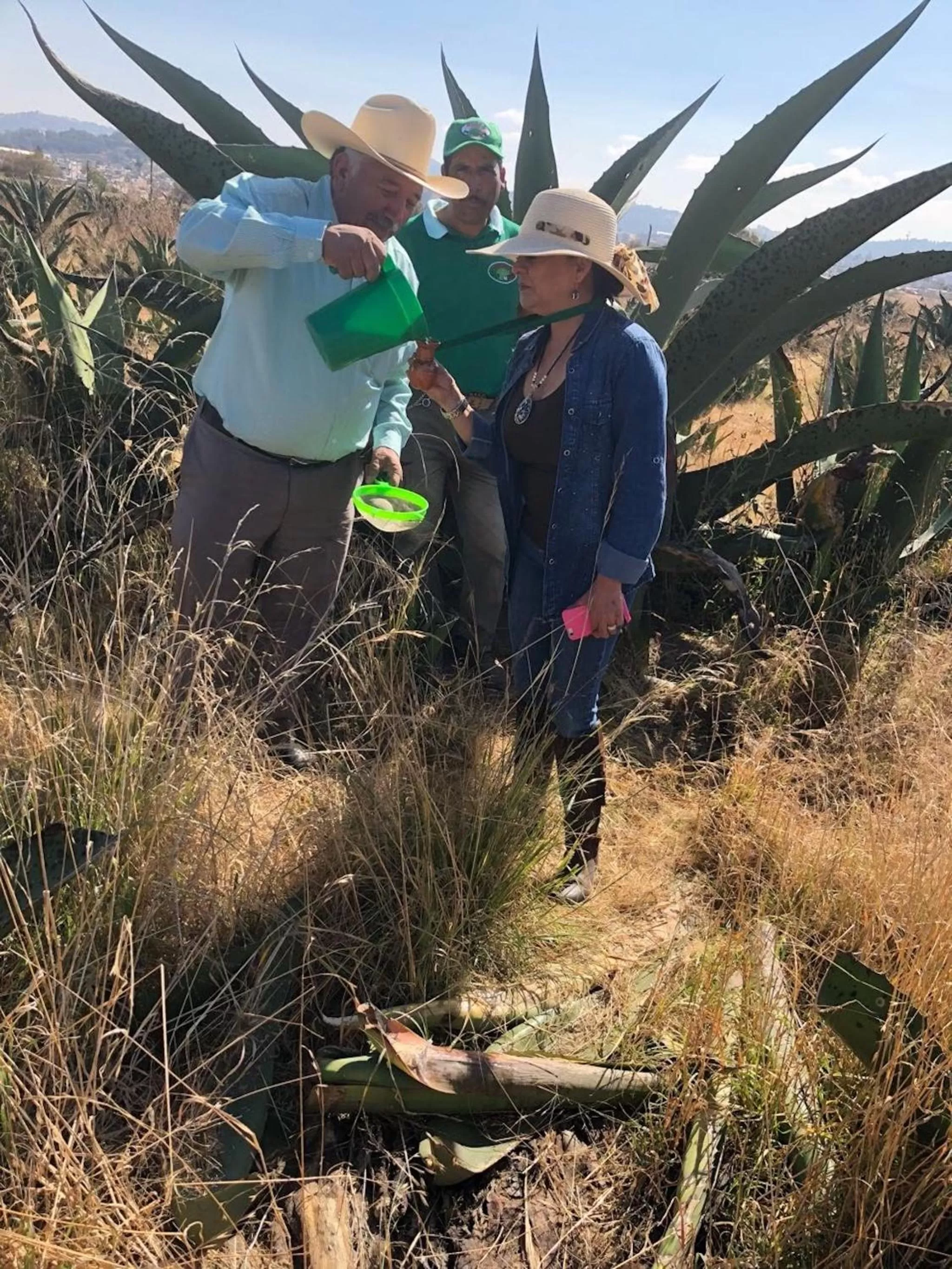 Billiard in La Aurora Hotel Like Home