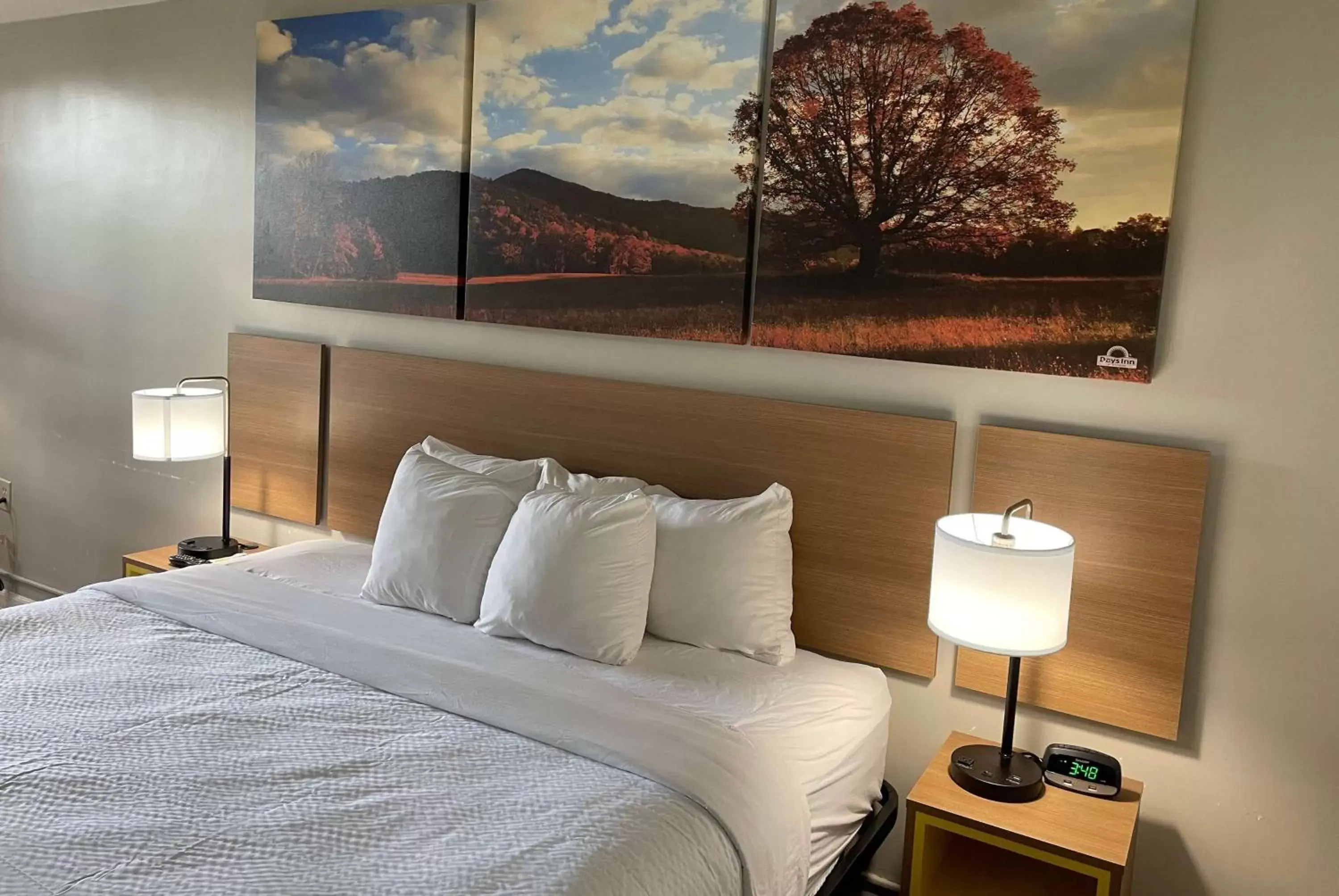 Photo of the whole room, Bed in Days Inn by Wyndham Valdosta/Near Valdosta Mall Photo of the whole room, Bed in Days Inn by Wyndham Valdosta/Near Valdosta Mall