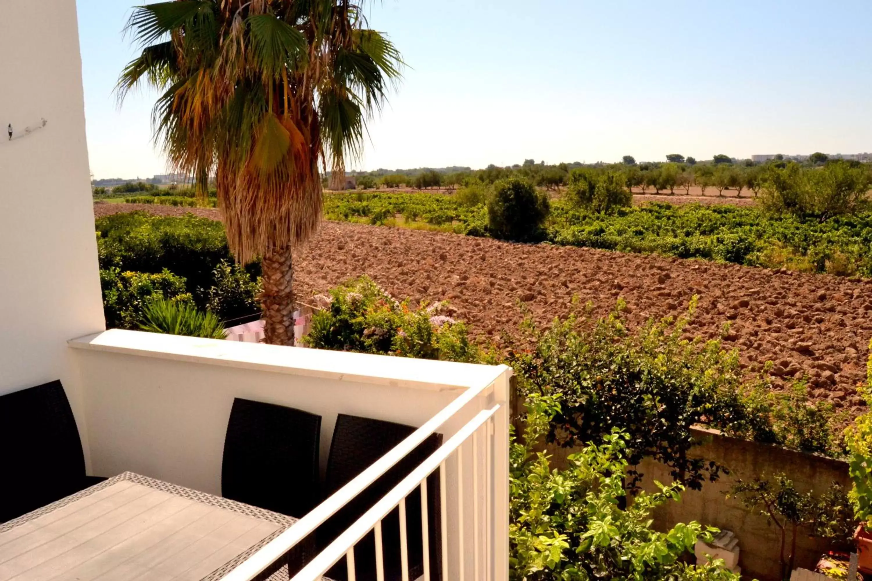 View (from property/room) in Bed and Breakfast Sun Wine