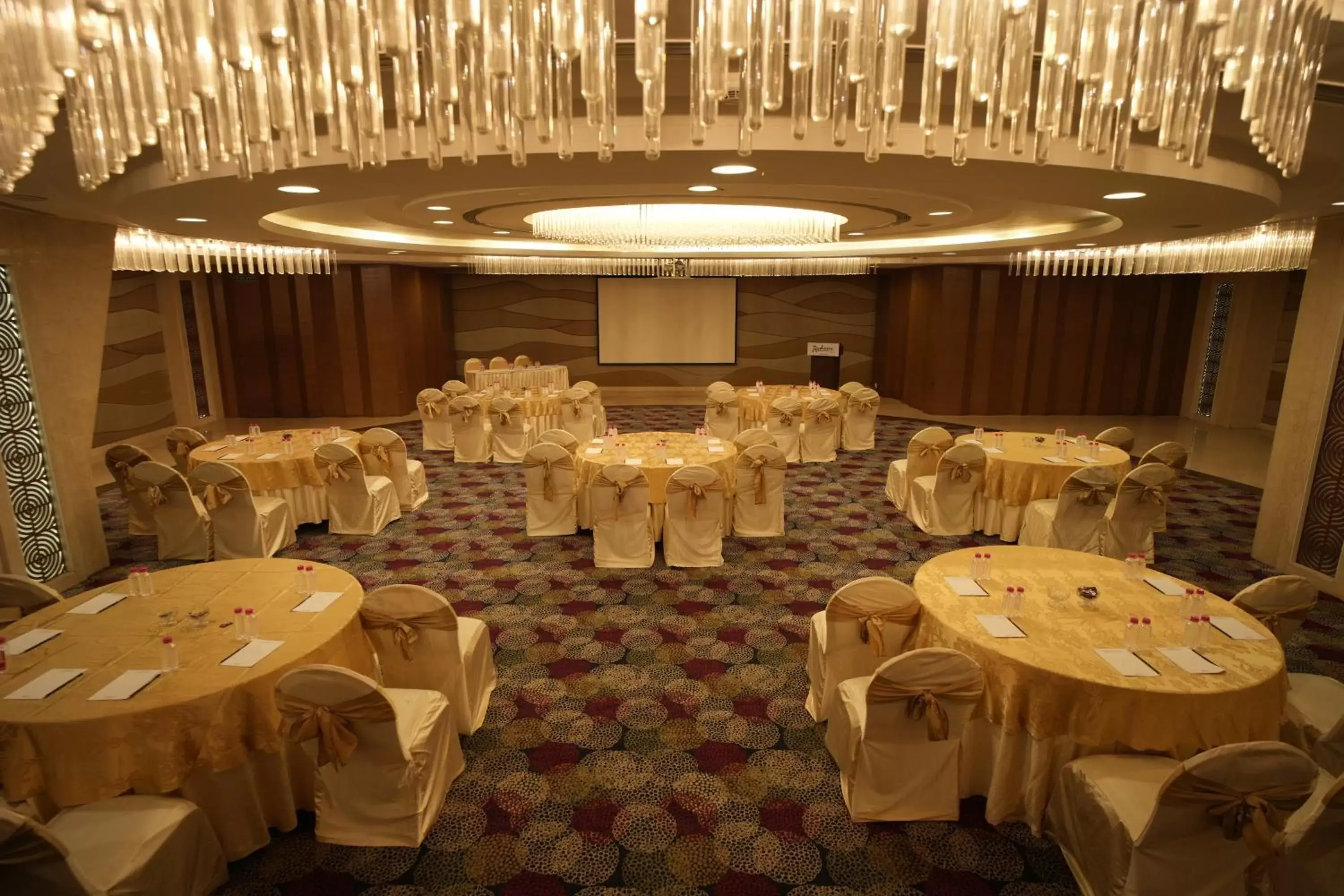 Banquet Facilities in Radisson Udaipur