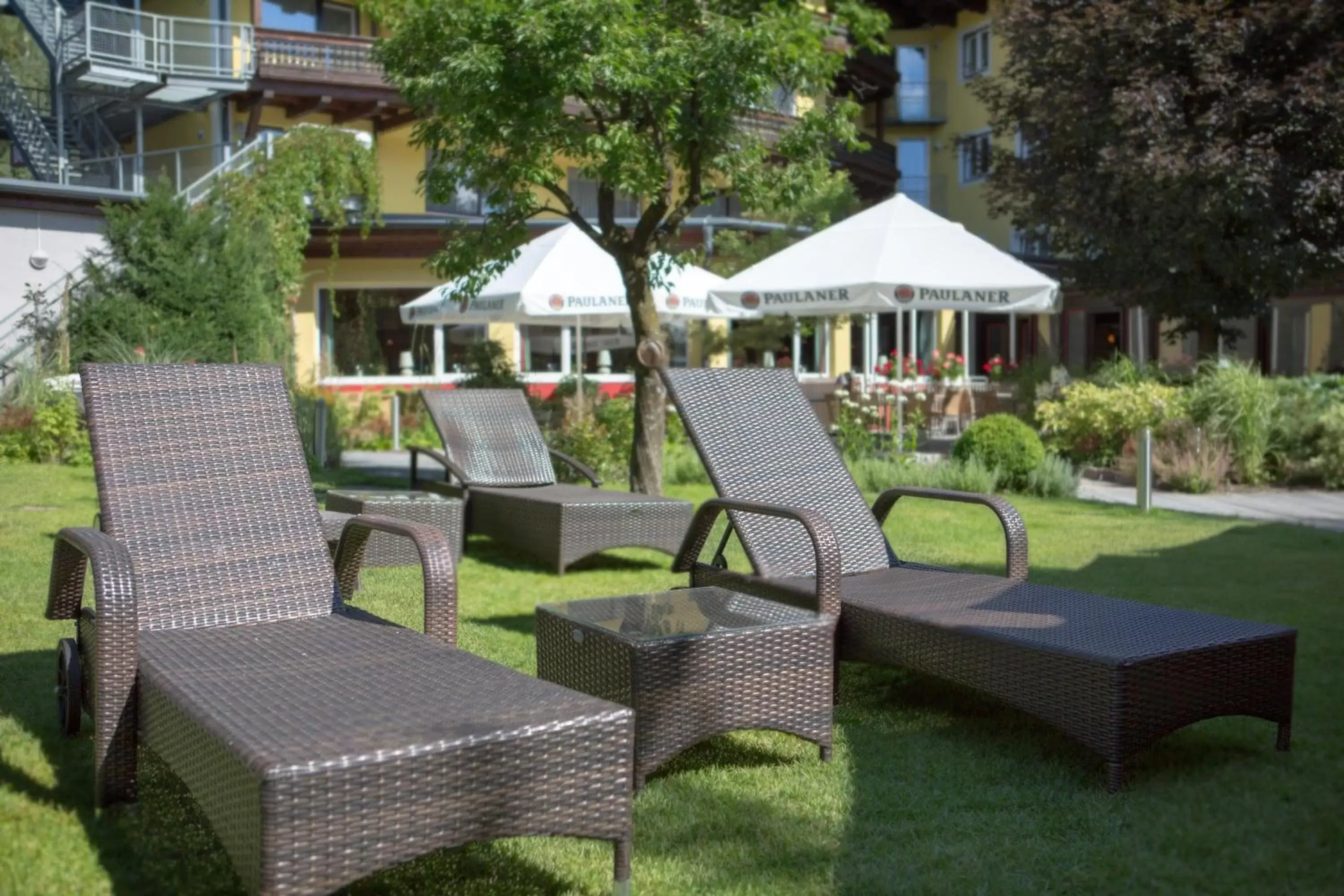 Garden, Swimming Pool in Hotel Latini