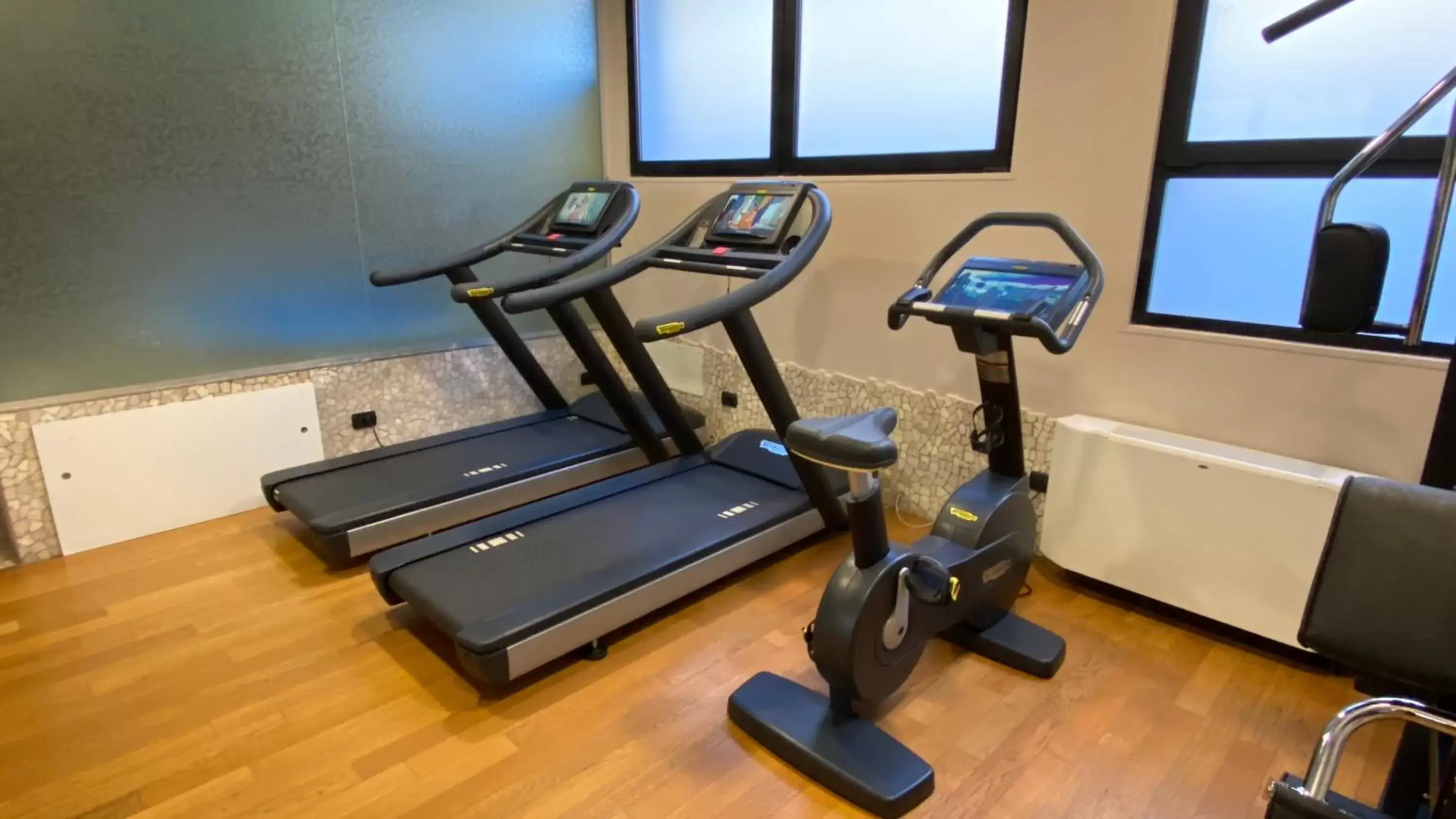 Fitness centre/facilities, Fitness Center/Facilities in Art & Hotel Aeroporto