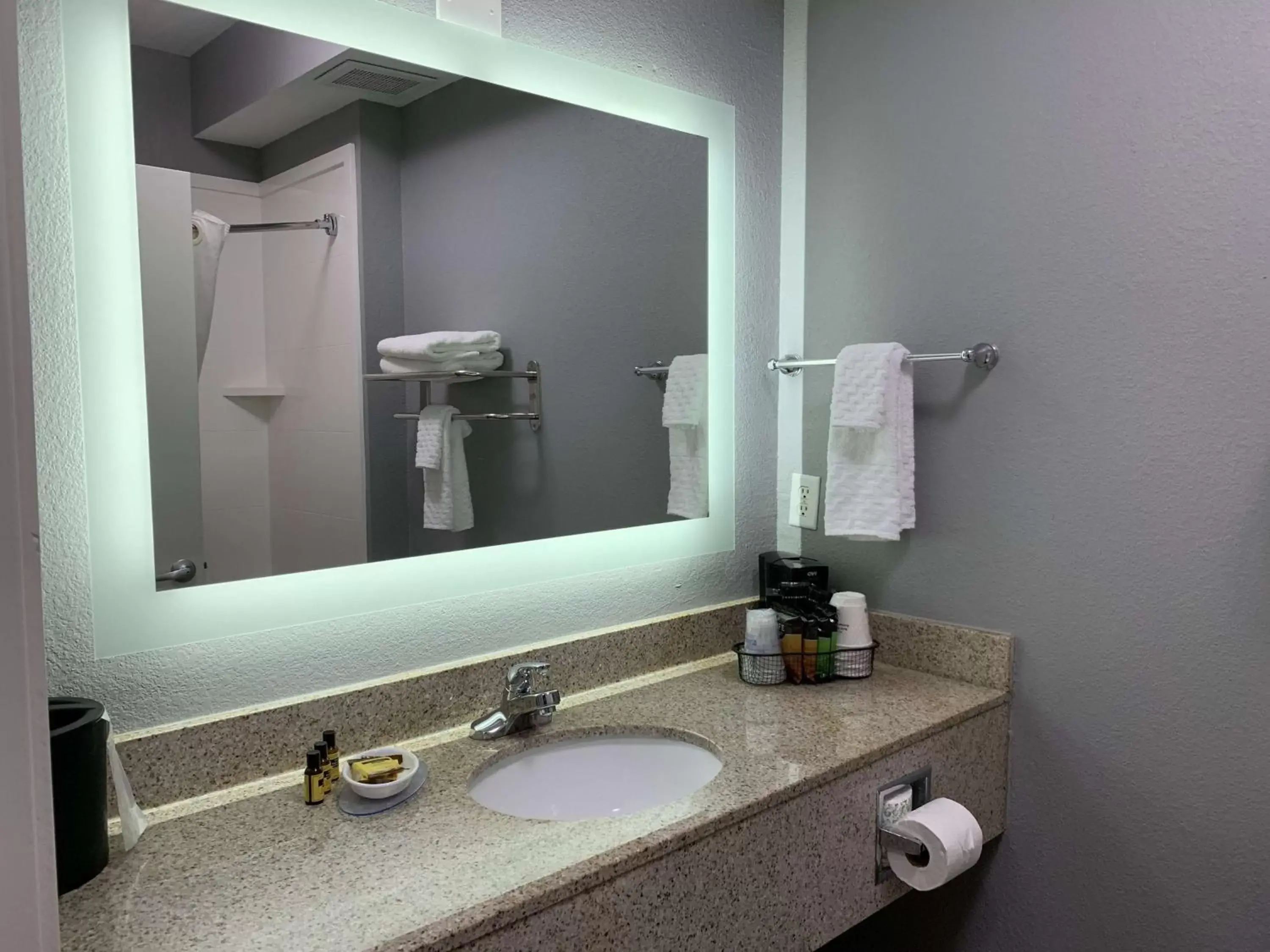 Bathroom in Best Western Plus Olive Branch Hotel & Suites