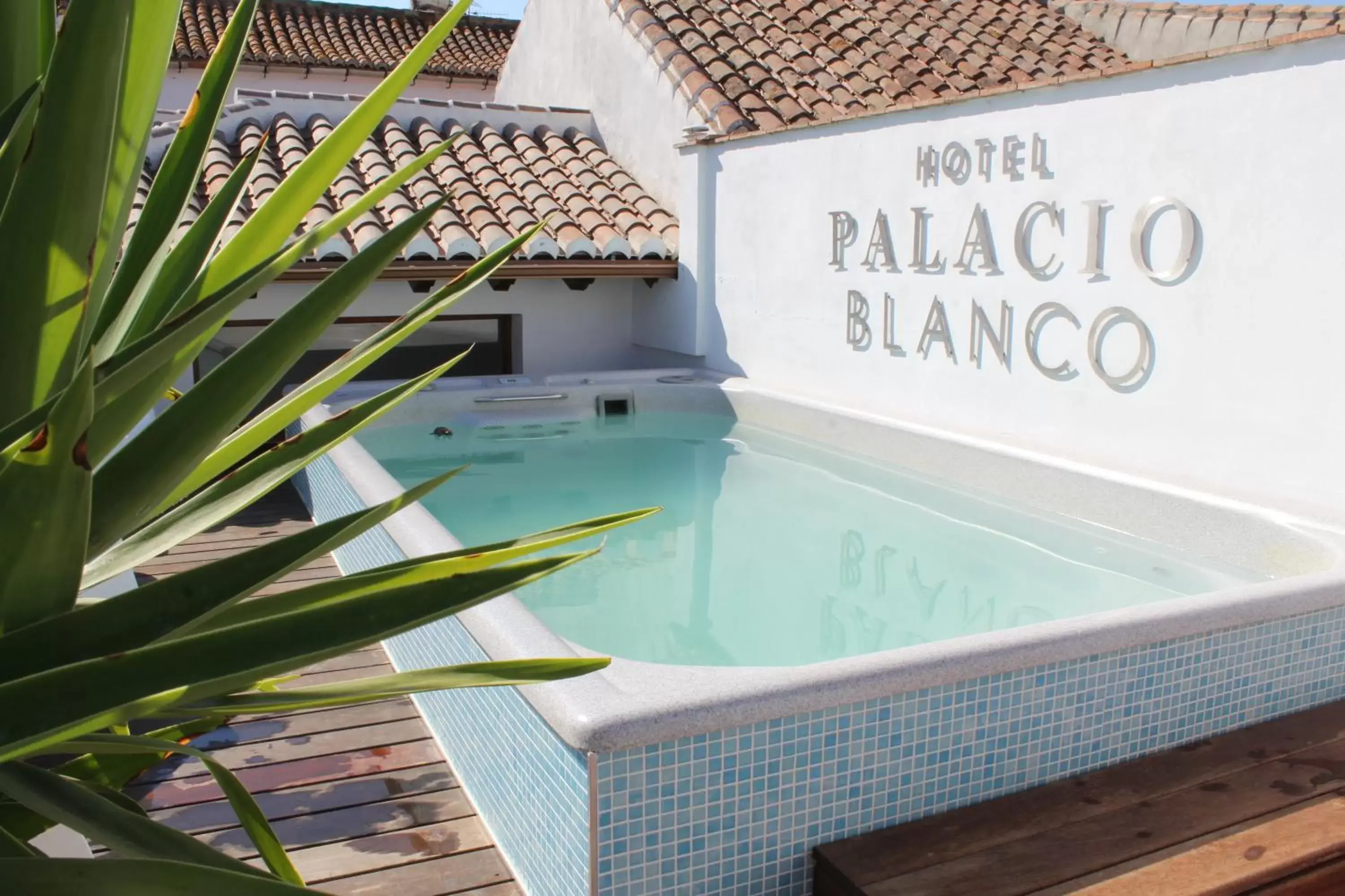 Day, Swimming Pool in Hotel Palacio Blanco