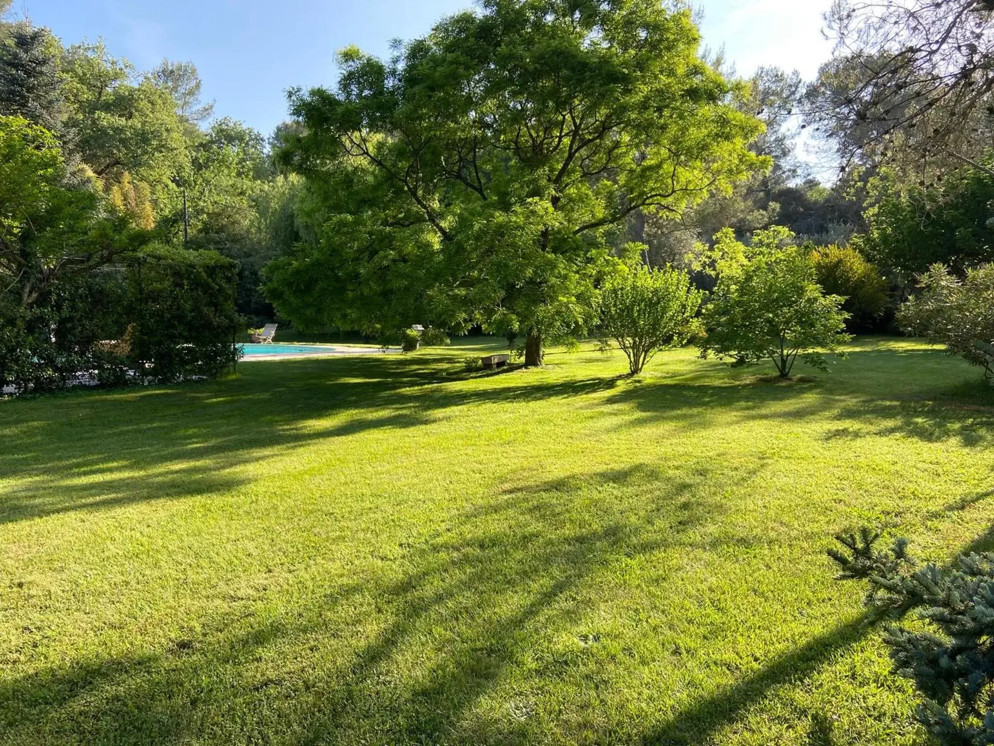 Natural landscape, Garden in Villa de Miha