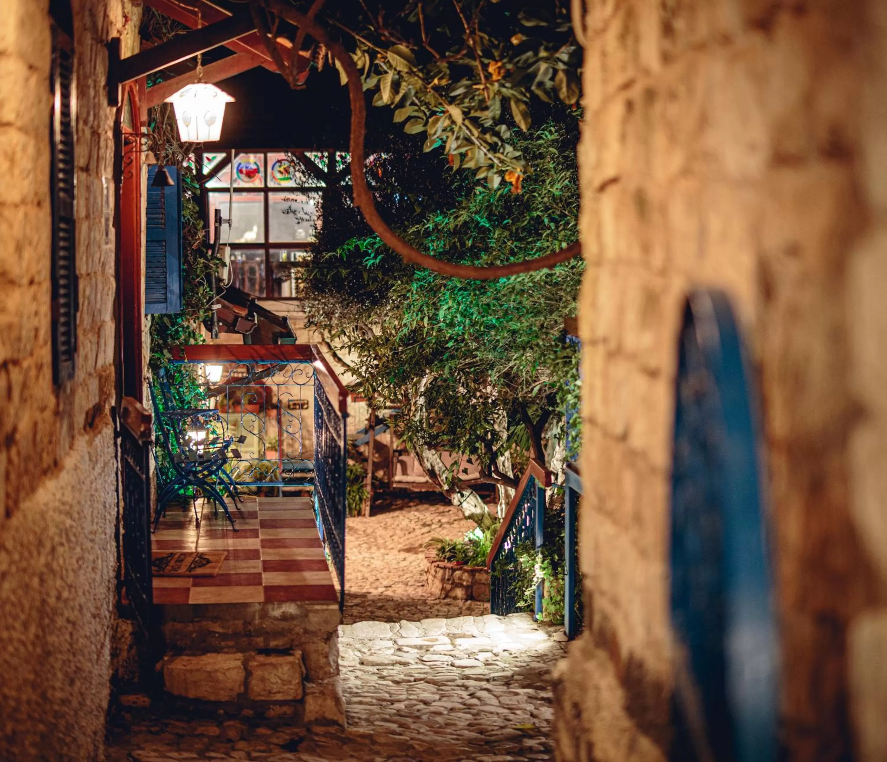 Garden in וילה תהילה המחודש - The new Villa Tehila