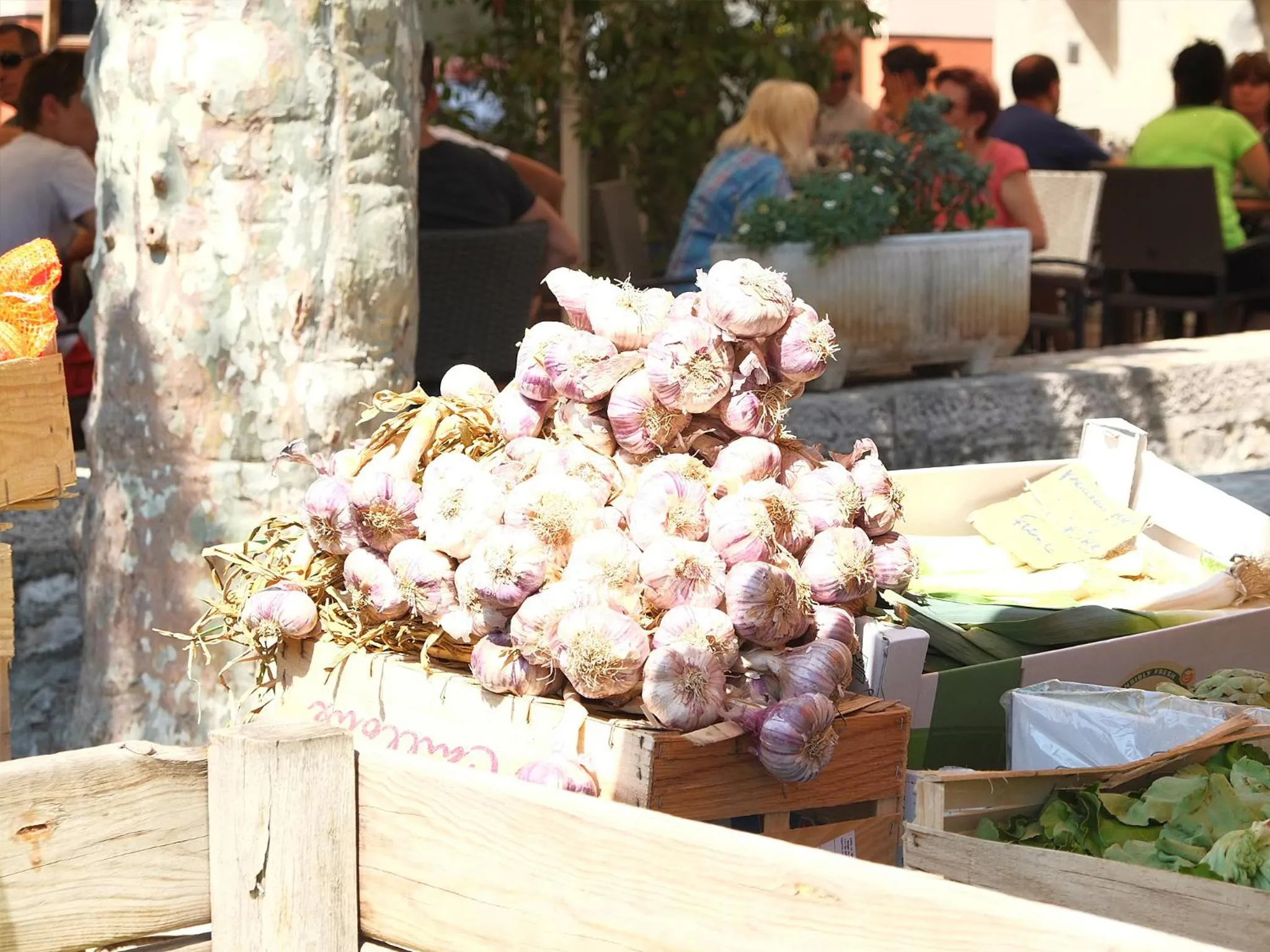 Area and facilities in Hôtel CASABELLA Cannes Mouans Sartoux