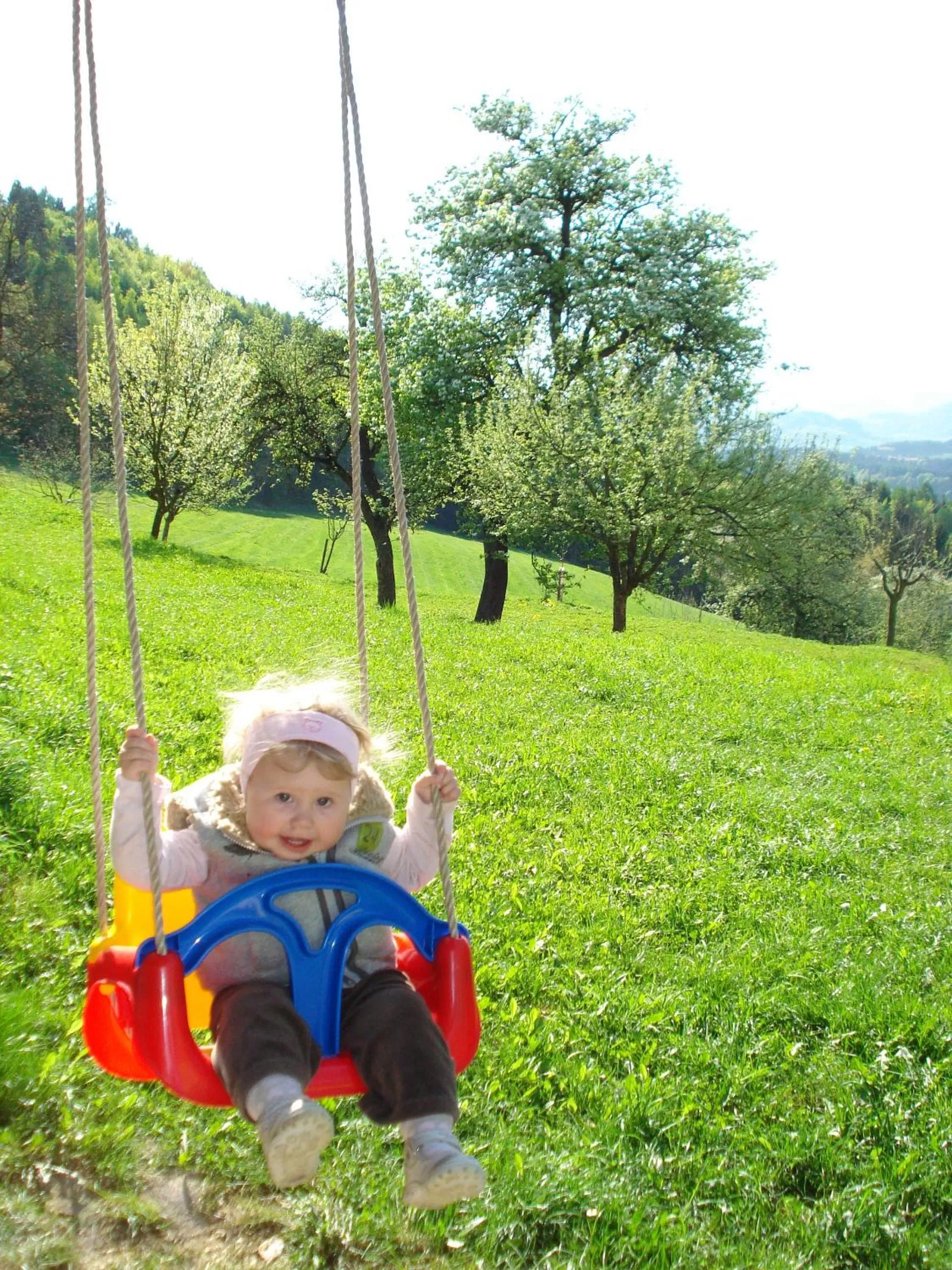 Gasthof Johannesmesner