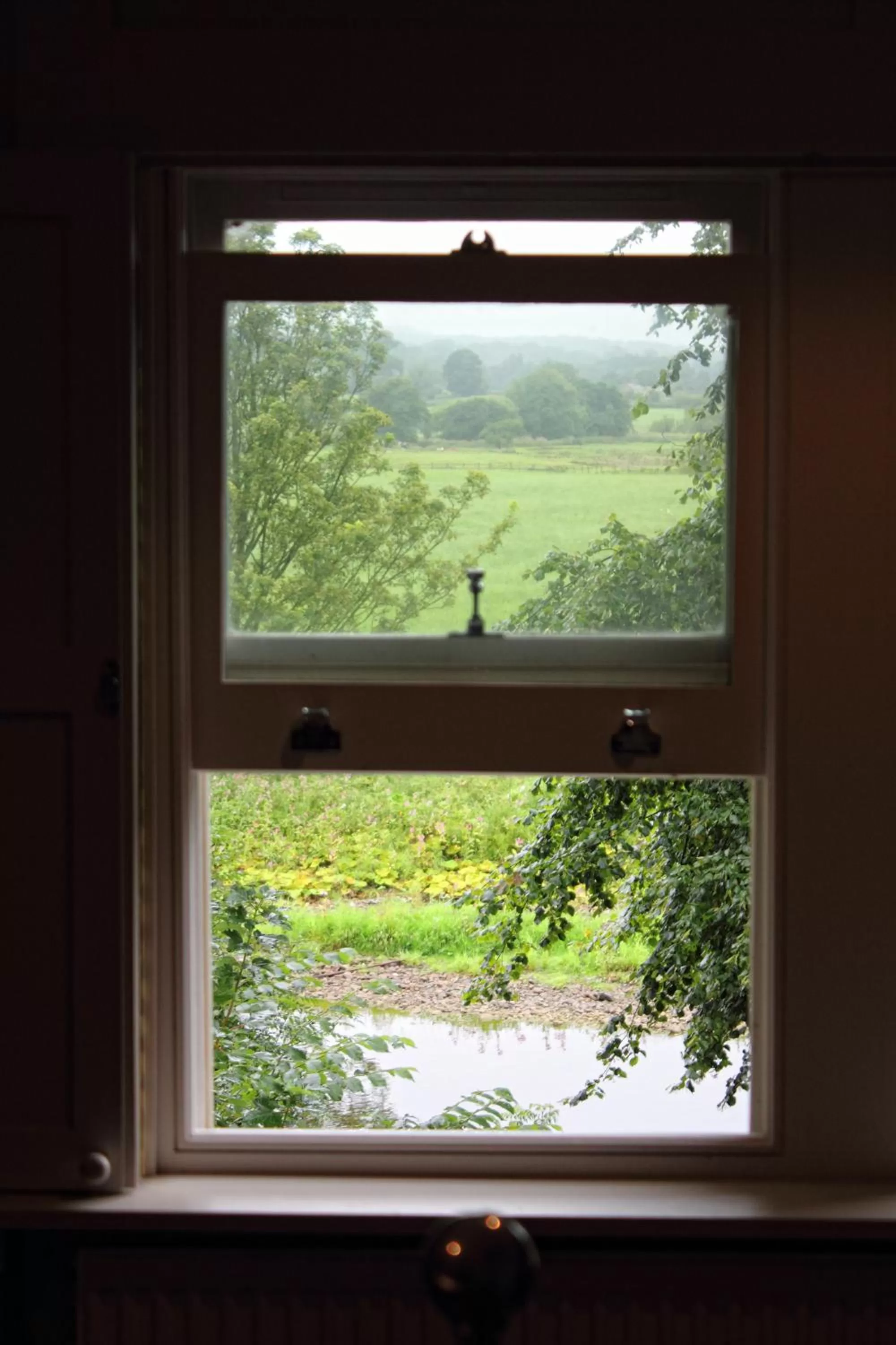 River view in The Spread Eagle