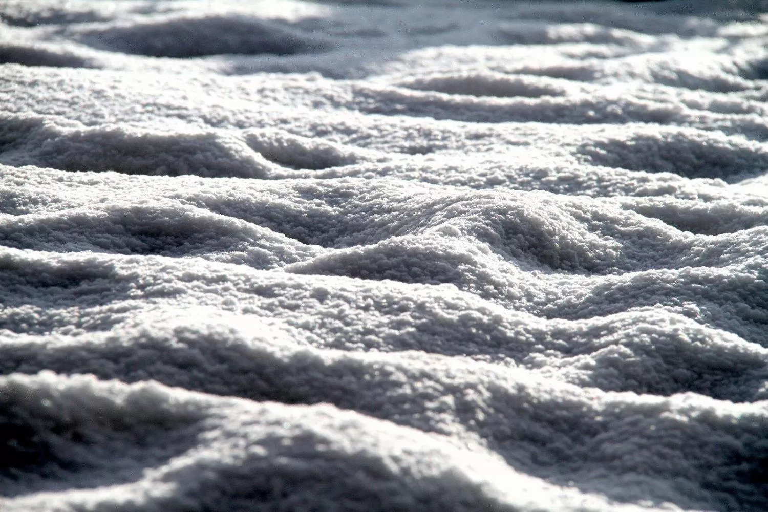 Decorative detail in Malteser Komturei Hotel / Restaurant