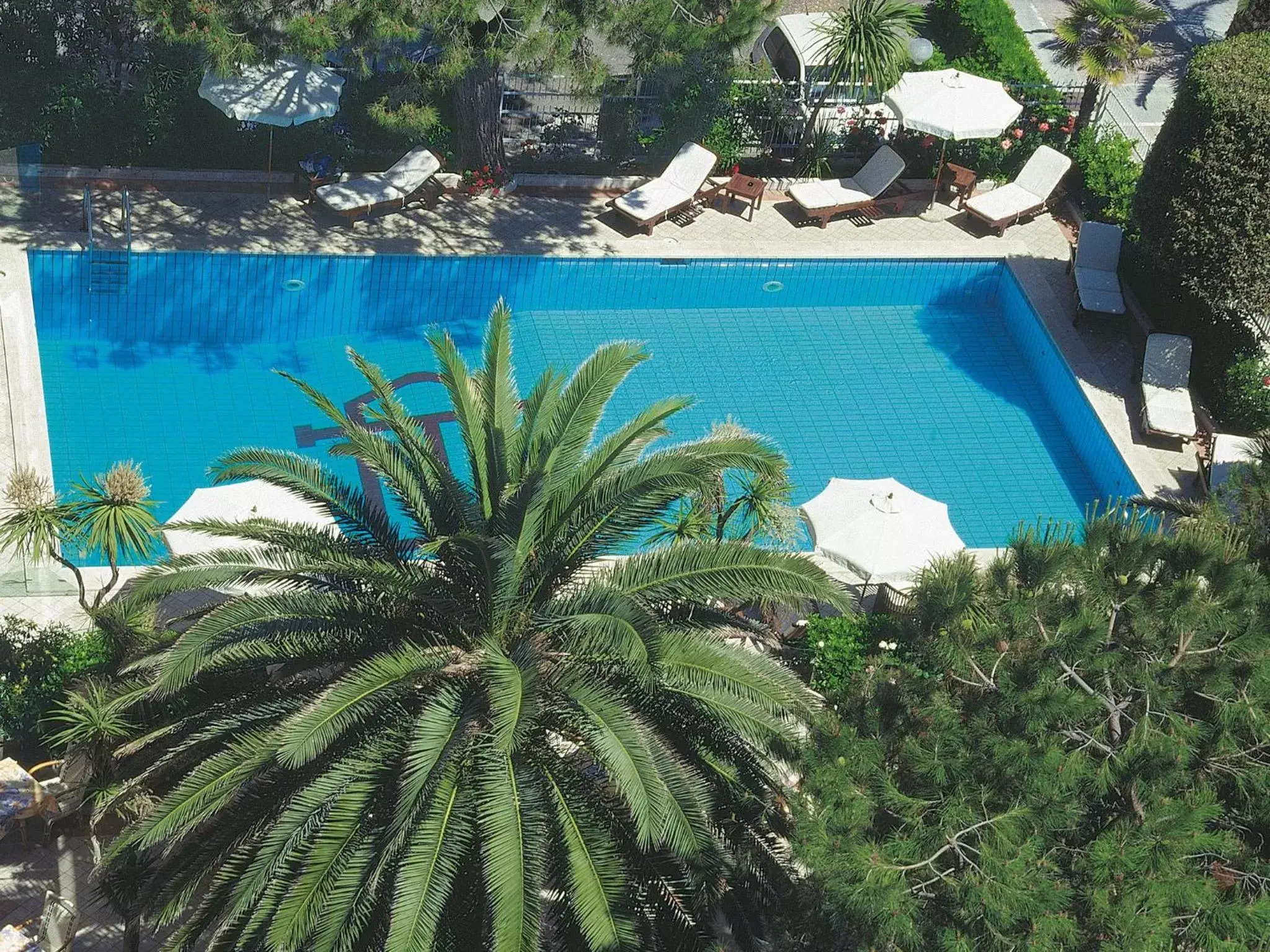 Day, Pool View in Hotel Corallo