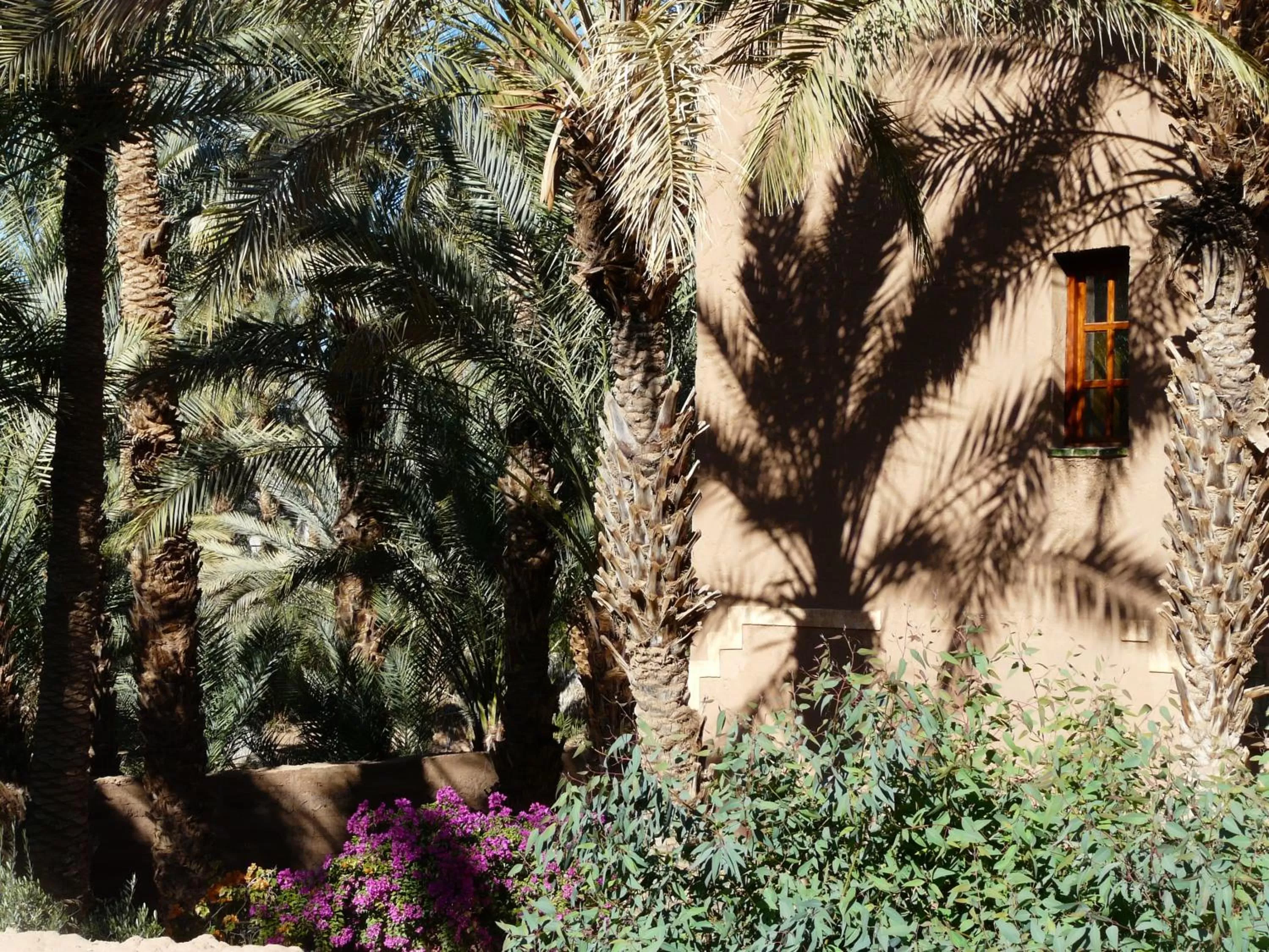 Natural landscape in Dar Nakhla - Zagora guest house