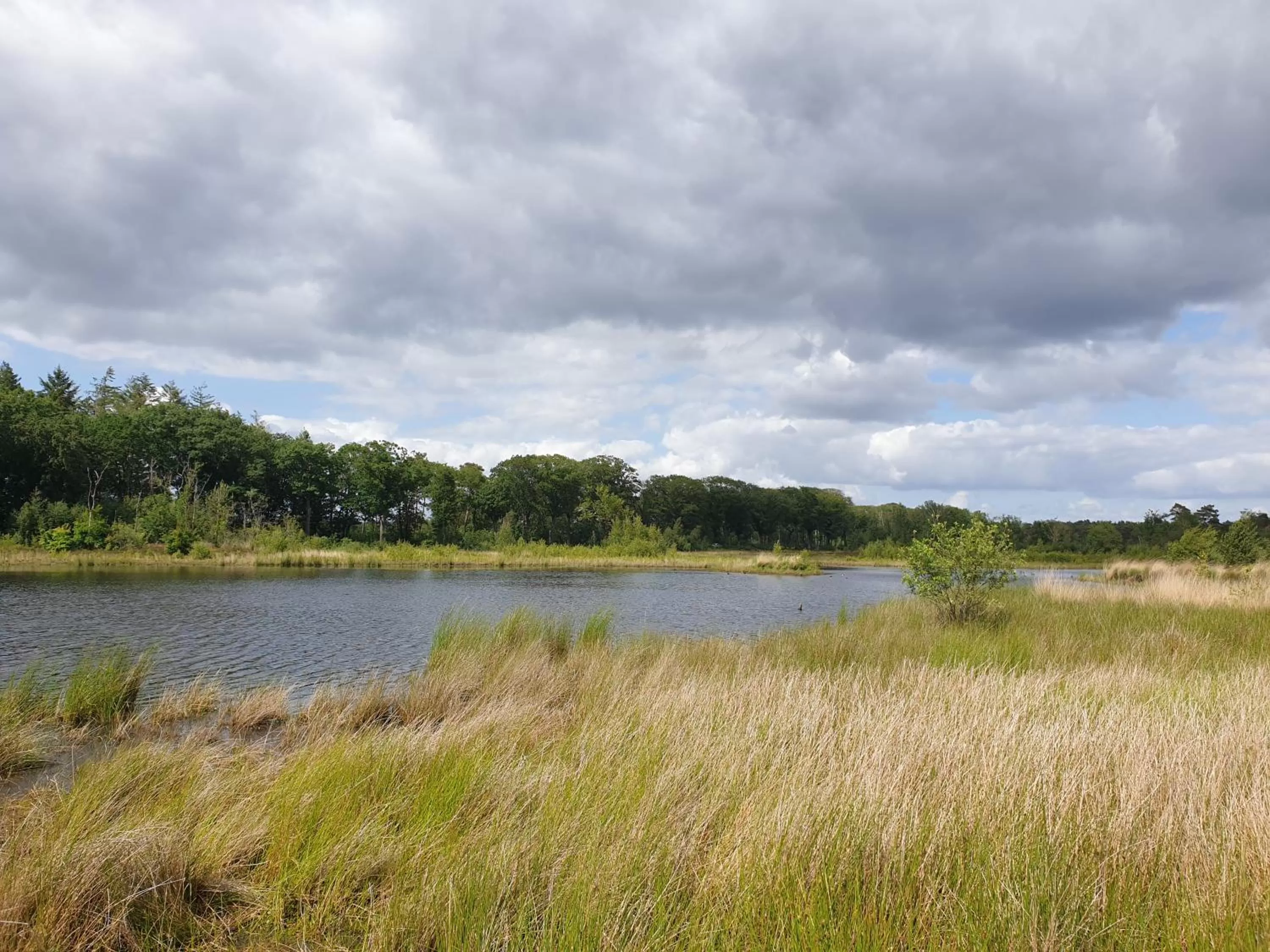 Natural Landscape in Het Gelders Buitenleven