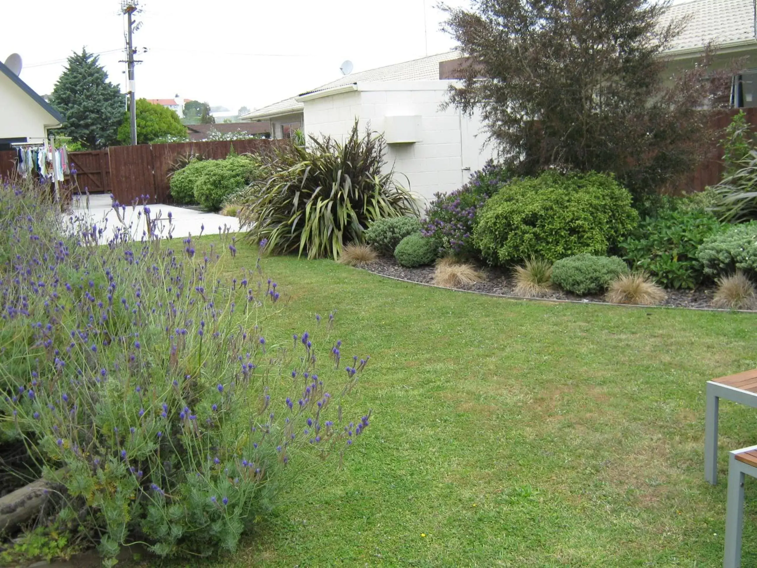 Garden in Bella Vista Motel Rotorua