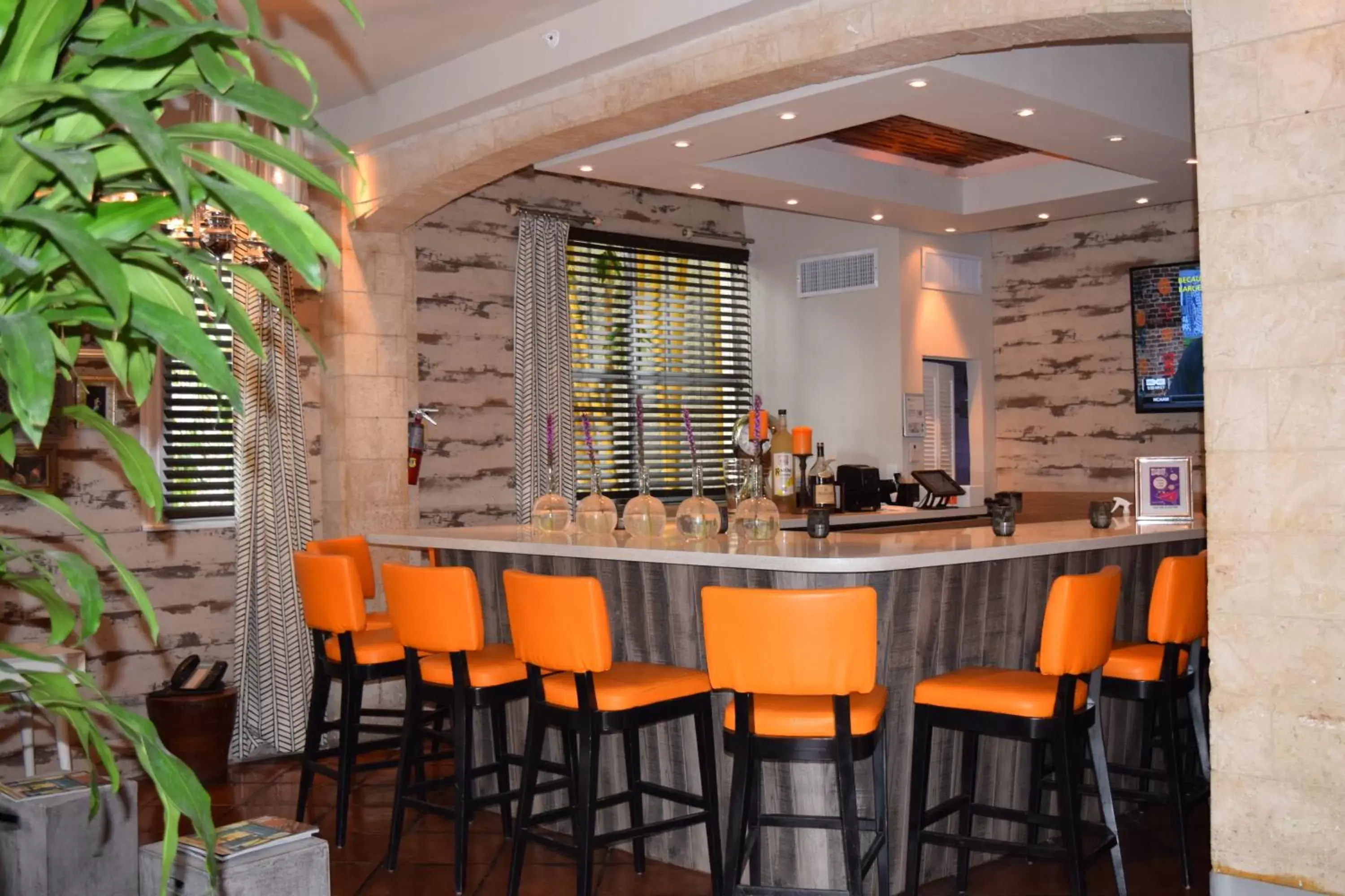 Lounge or bar, Restaurant/Places to Eat in Shelley Hotel
