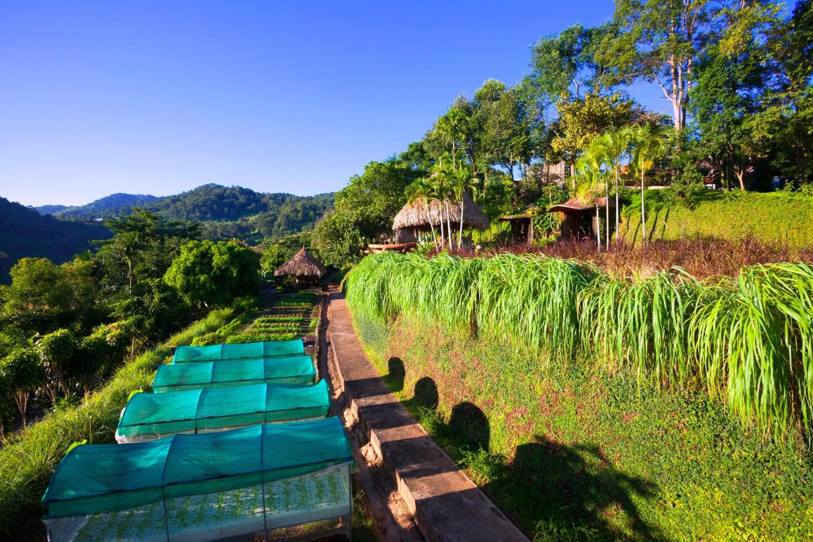 Garden, Pool View in Panviman Chiang Mai Spa Resort
