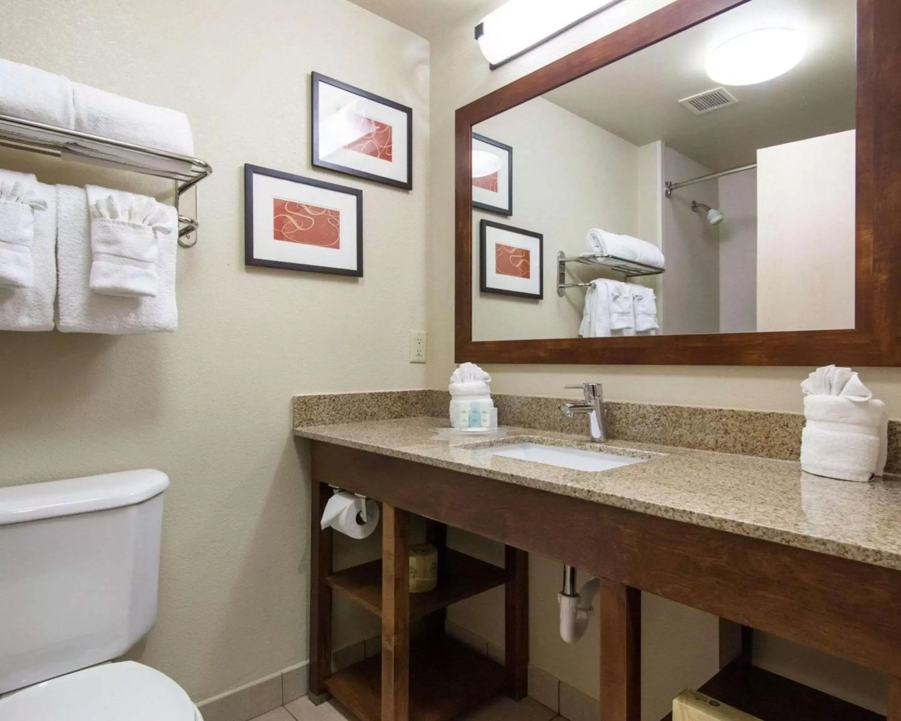 Bathroom in Comfort Suites Central / I-44