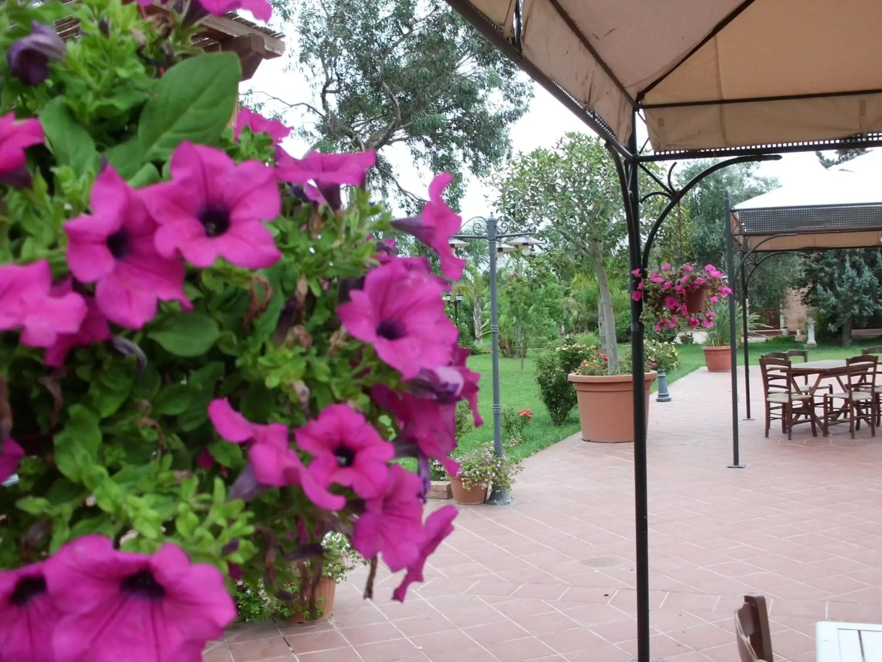 Patio in Villa Cristina