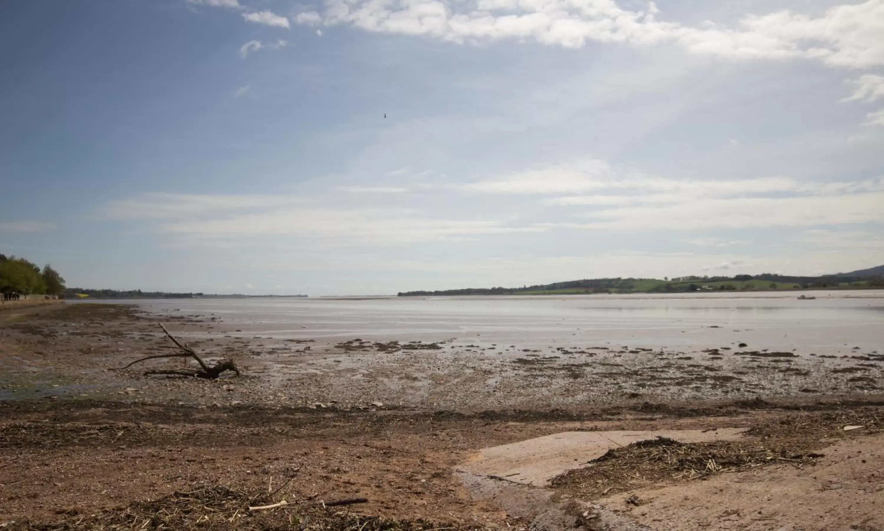 Area and facilities, Beach in The Globe