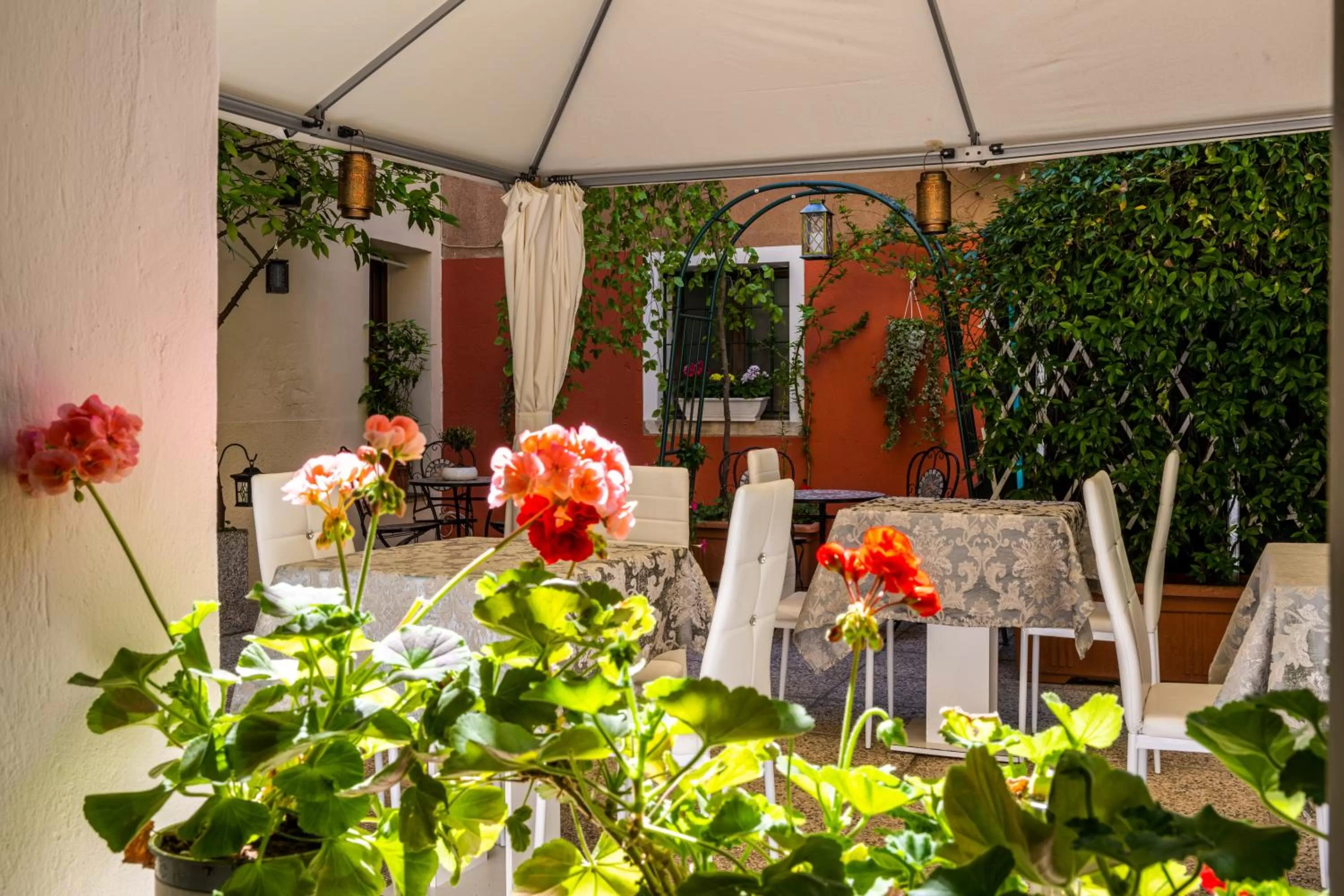 Balcony/Terrace in Hotel Apostoli Garden