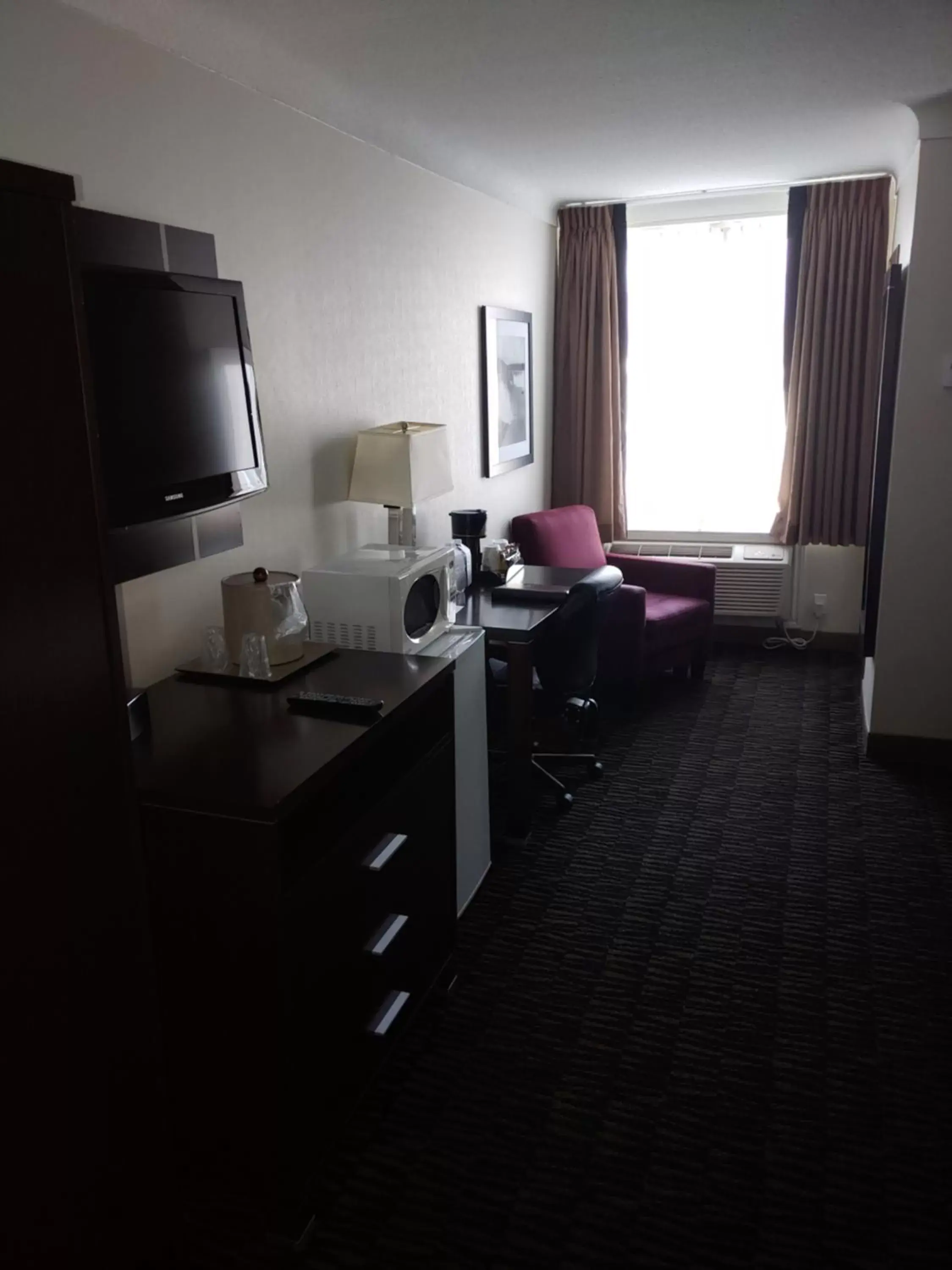 TV/Entertainment Center in Ramada Plaza by Wyndham Niagara Falls