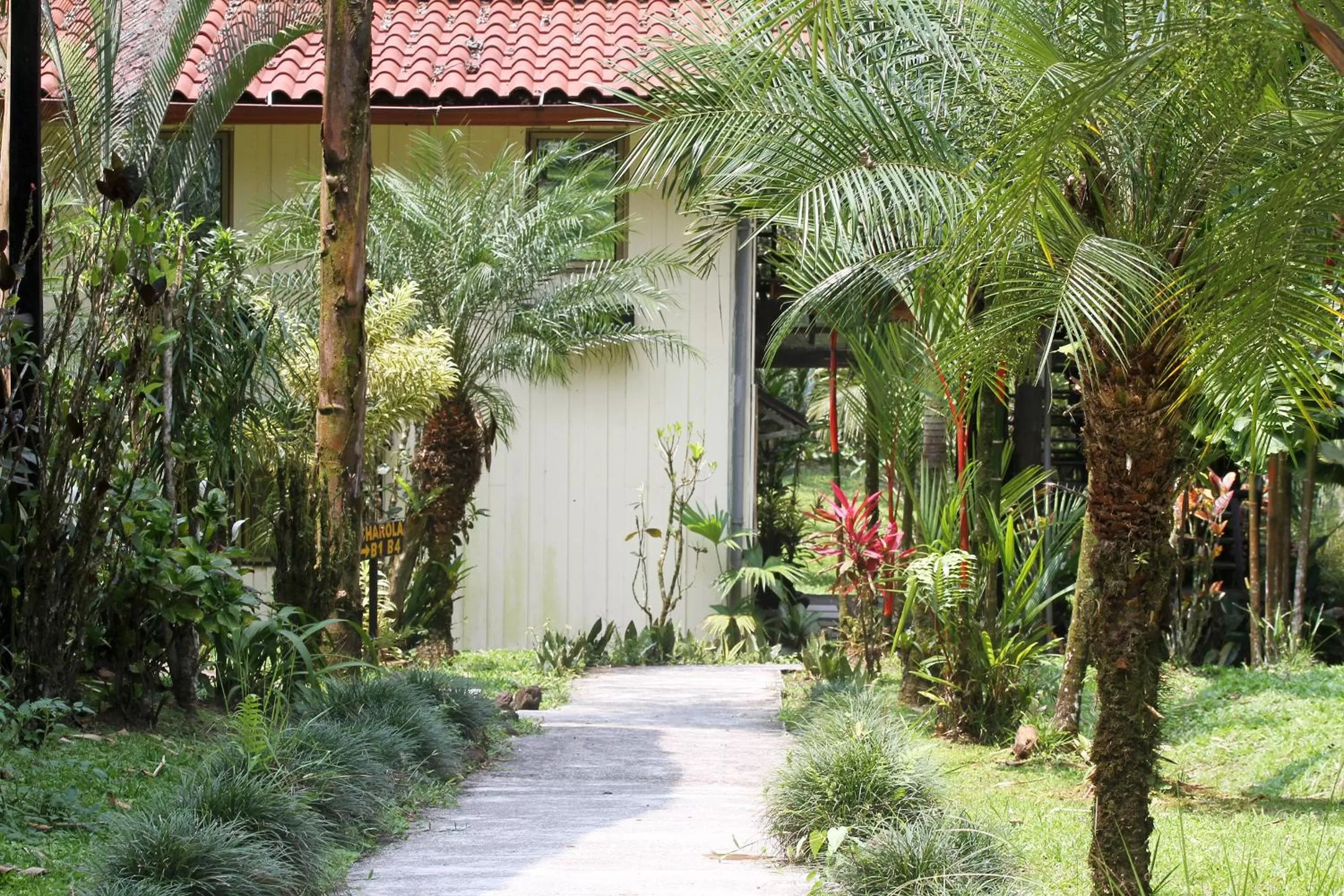 Garden view in Hotel Kokoro Mineral Hot Springs