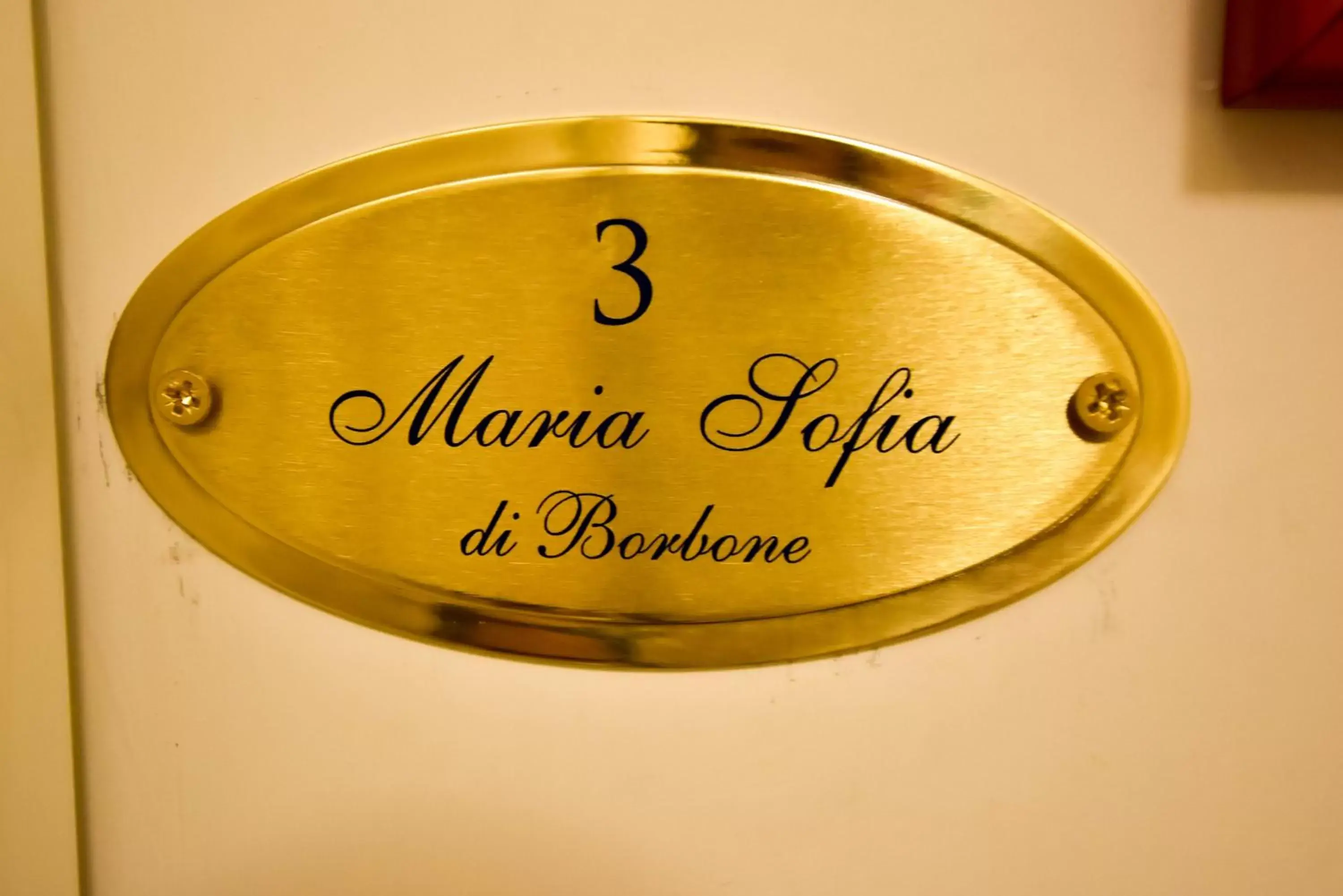 Logo/Certificate/Sign in Domus Borbonica