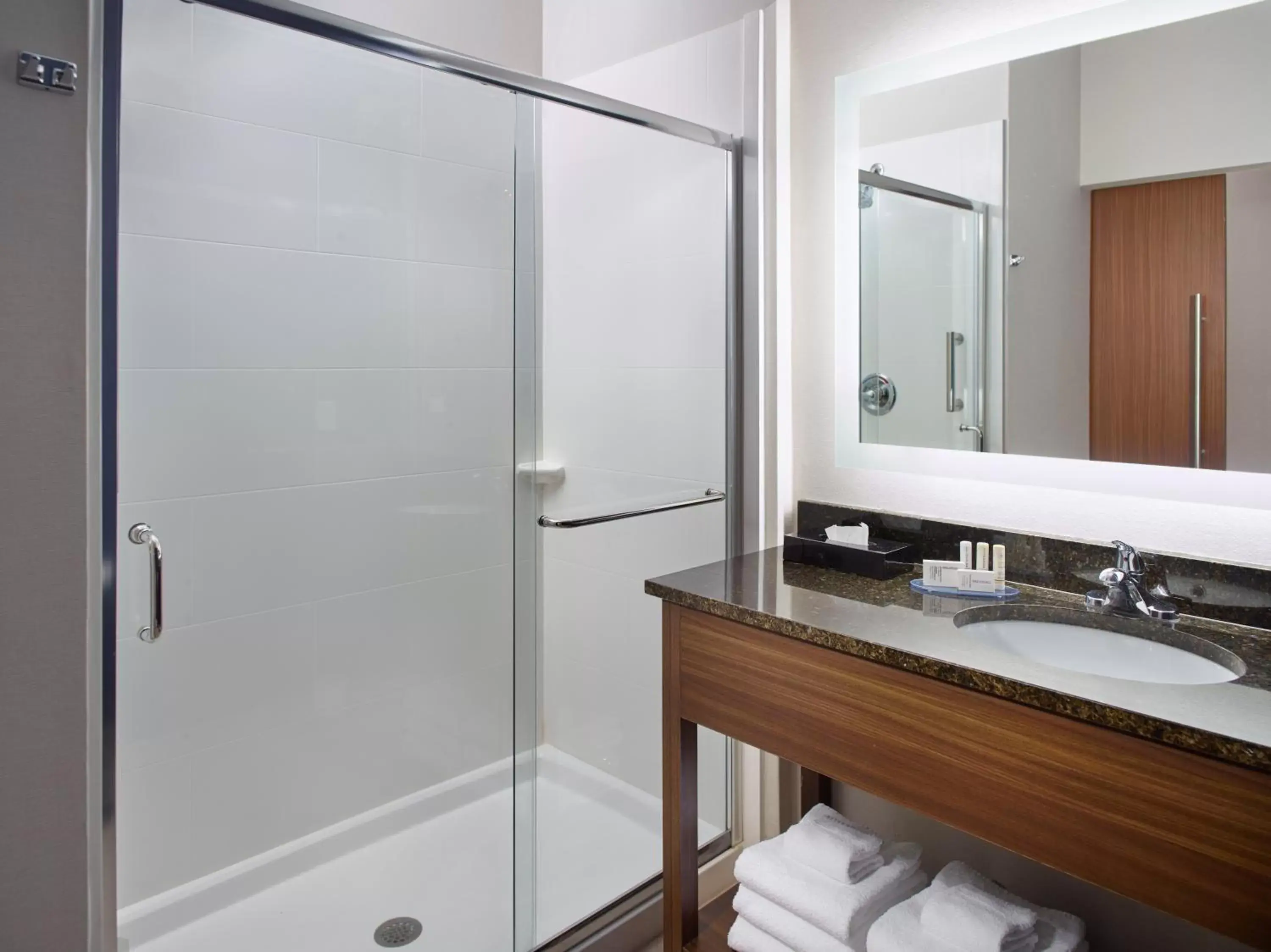 Bathroom in Fairfield Inn & Suites by Marriott Asheville Airport/Fletcher