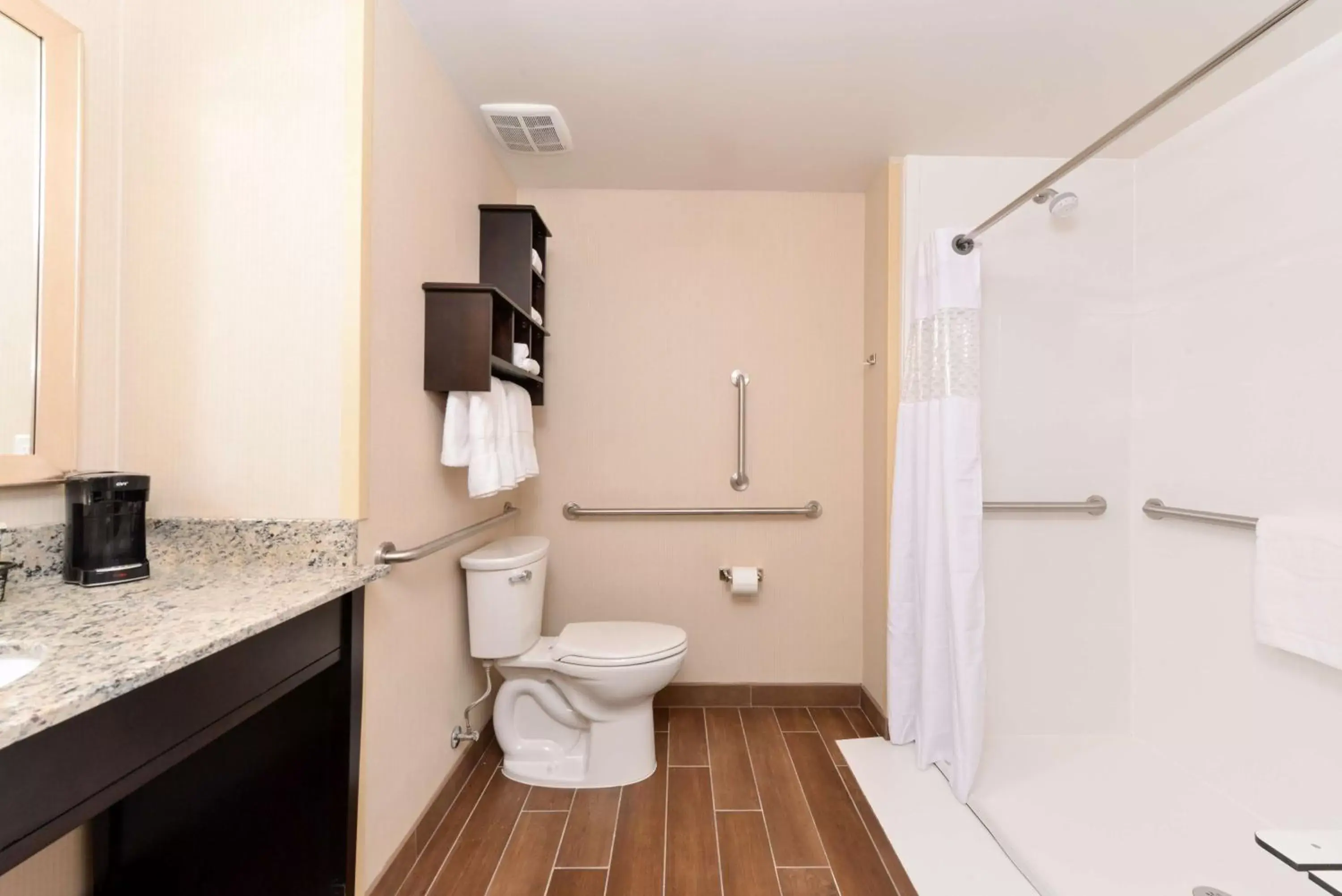 Bathroom in Hampton Inn & Suites Douglas